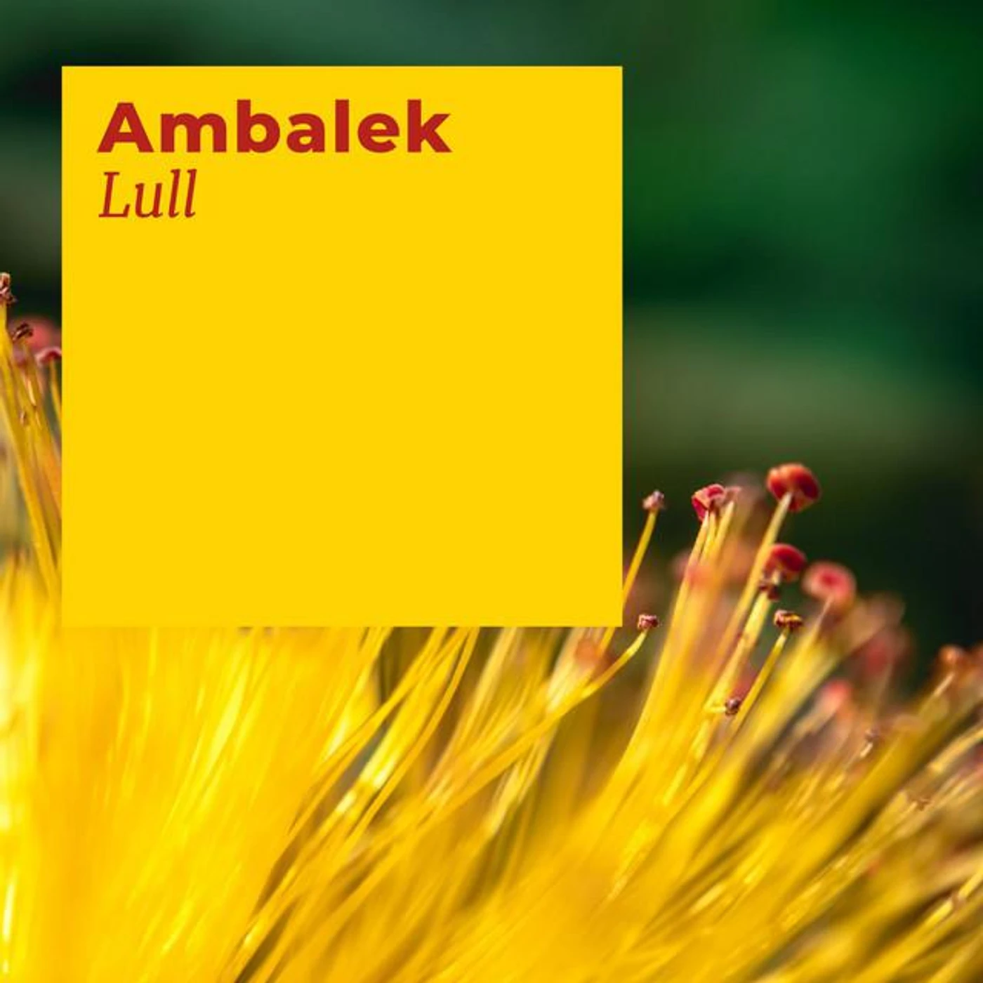 Ambalek Brand Page