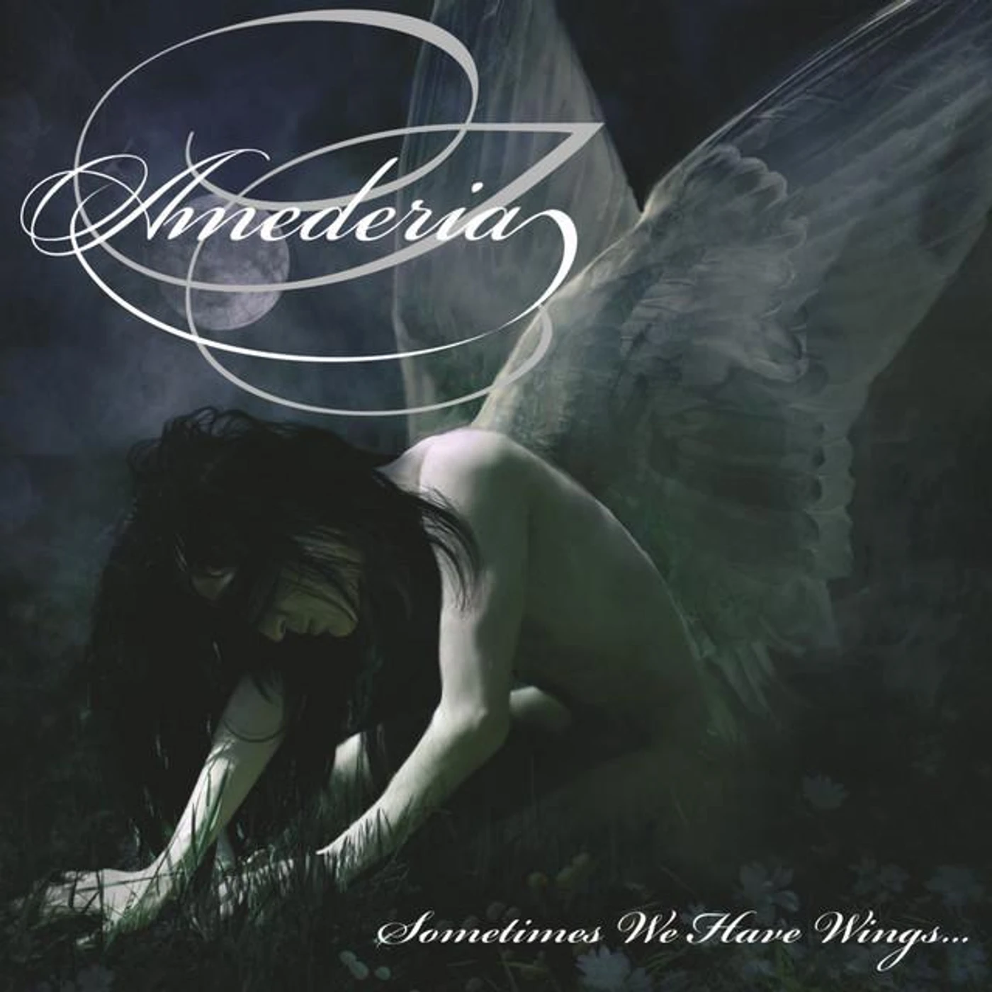 Amederia Brand Page