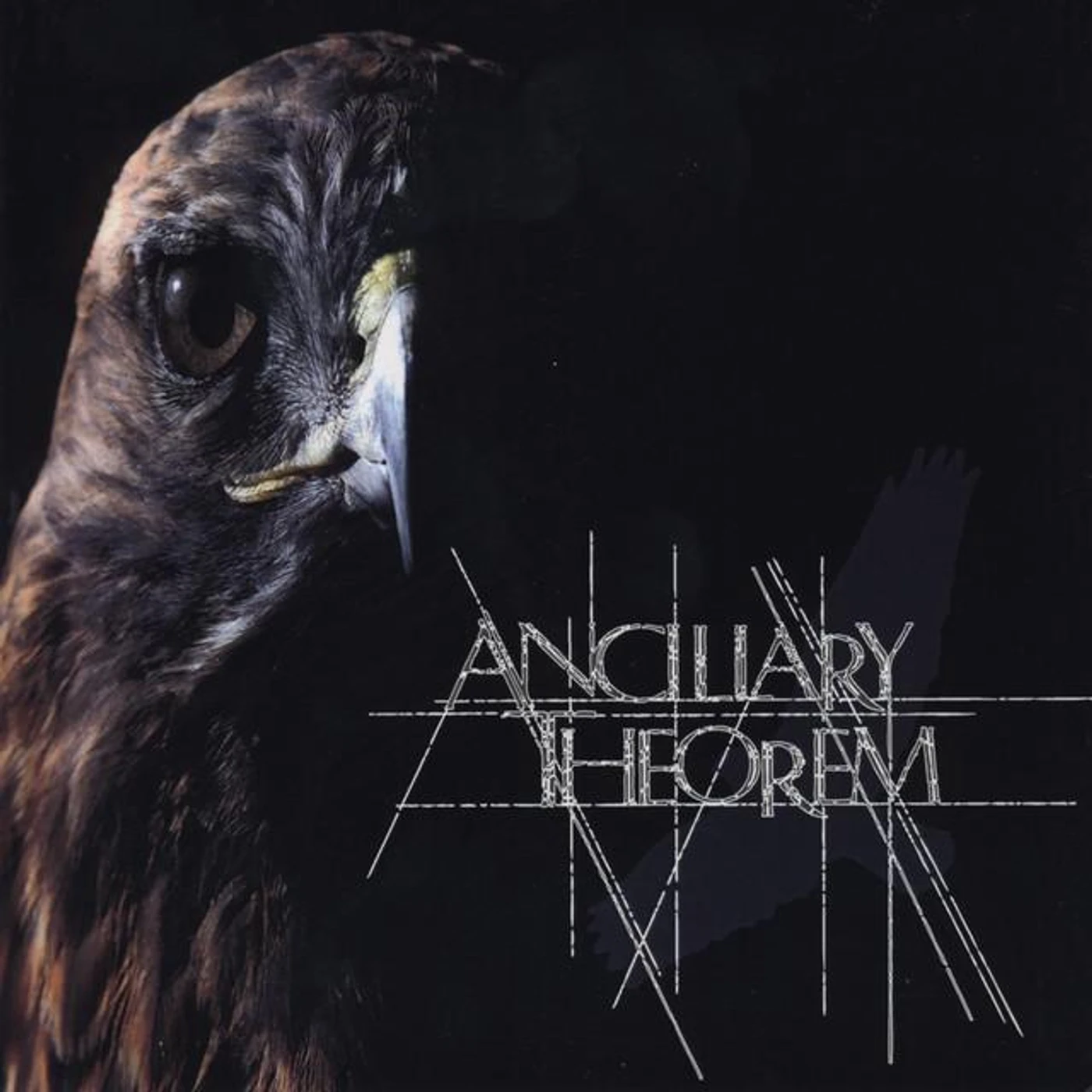 Ancillary Theorem Brand Page