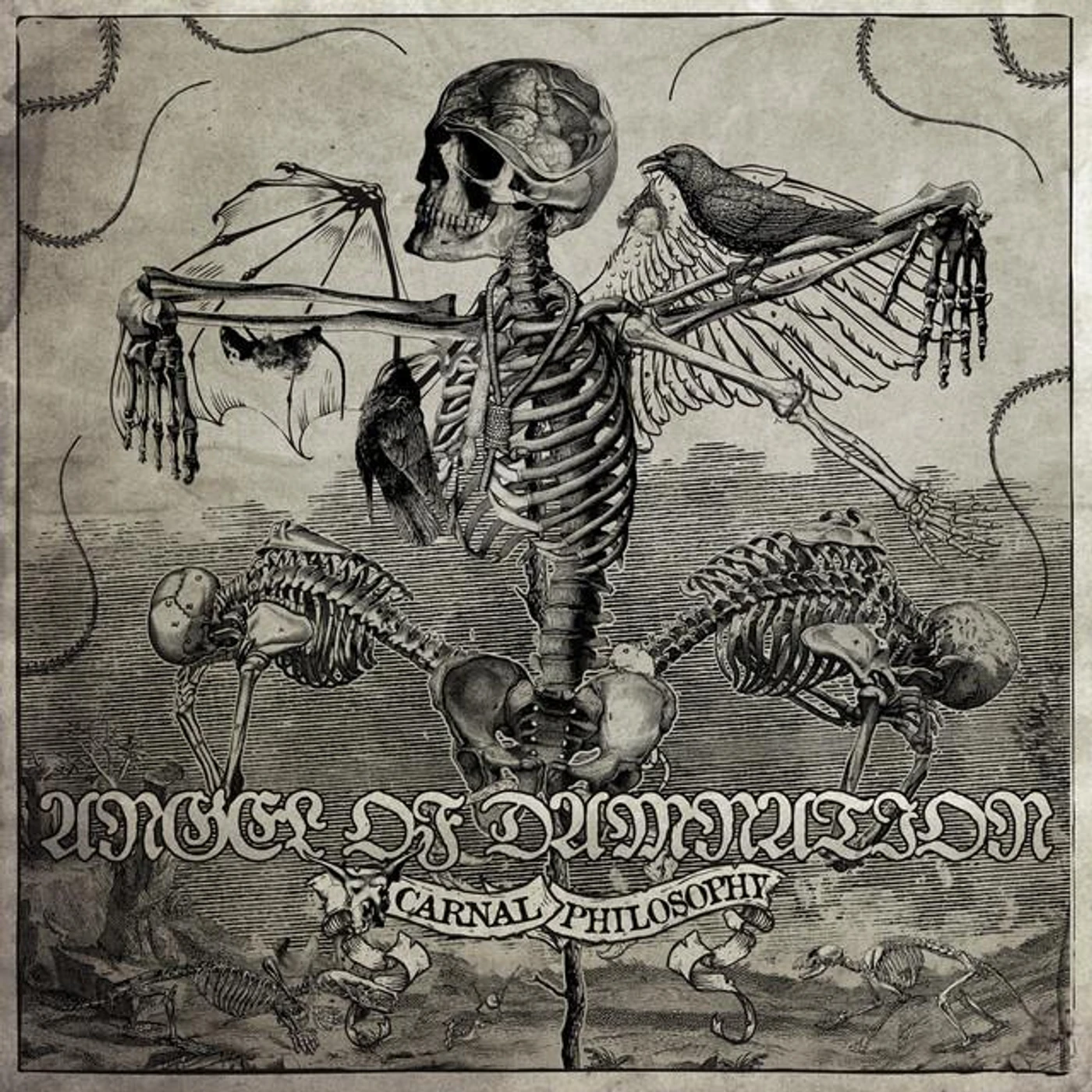 Angel of Damnation Brand Page