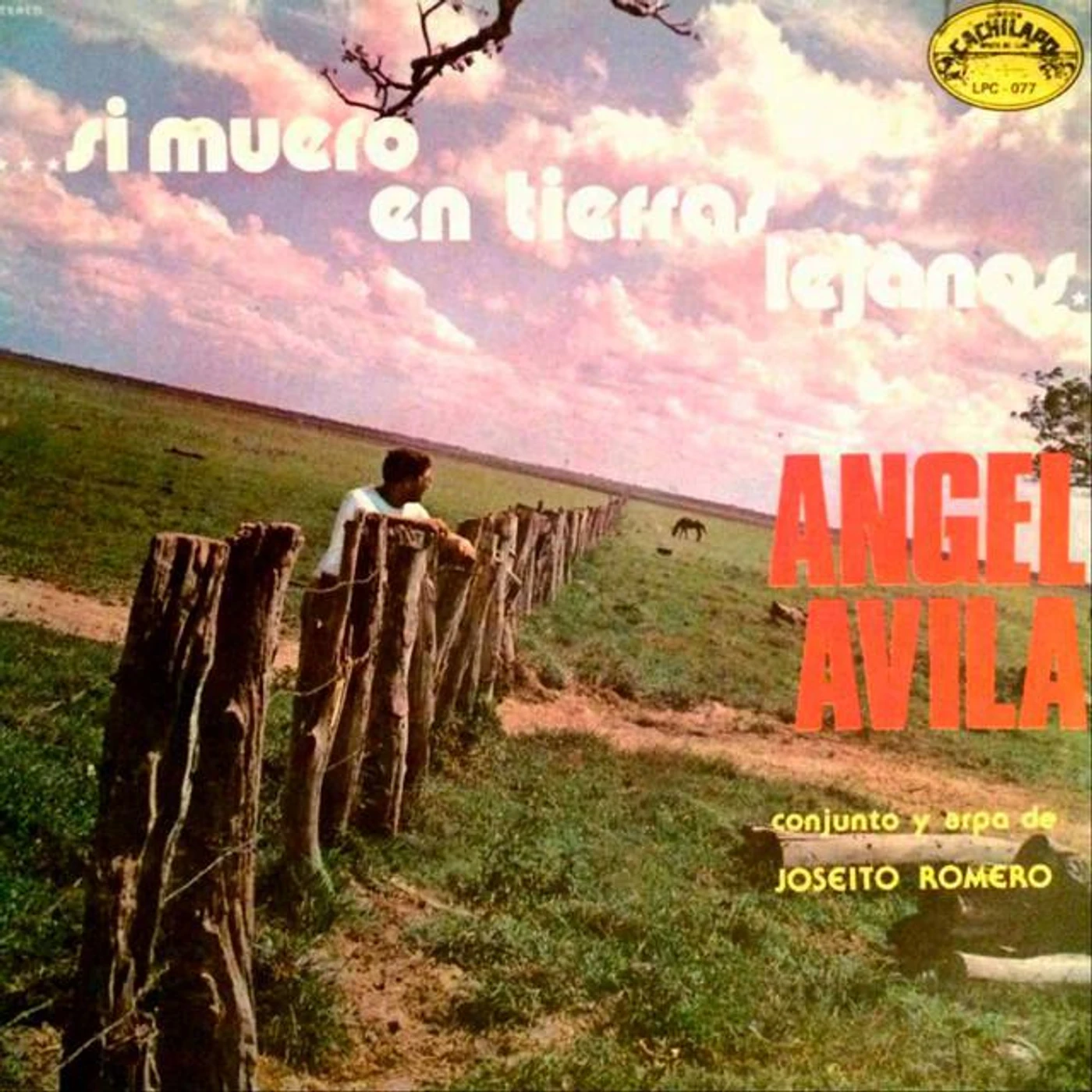 Angel Avila Brand Page