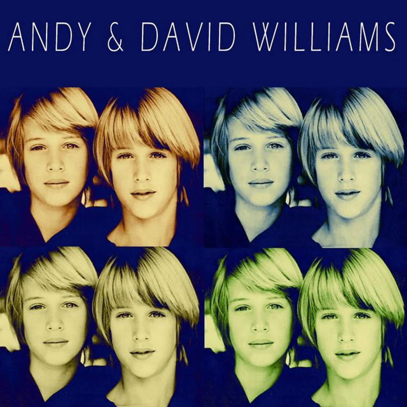 Andy & David Williams Brand Page