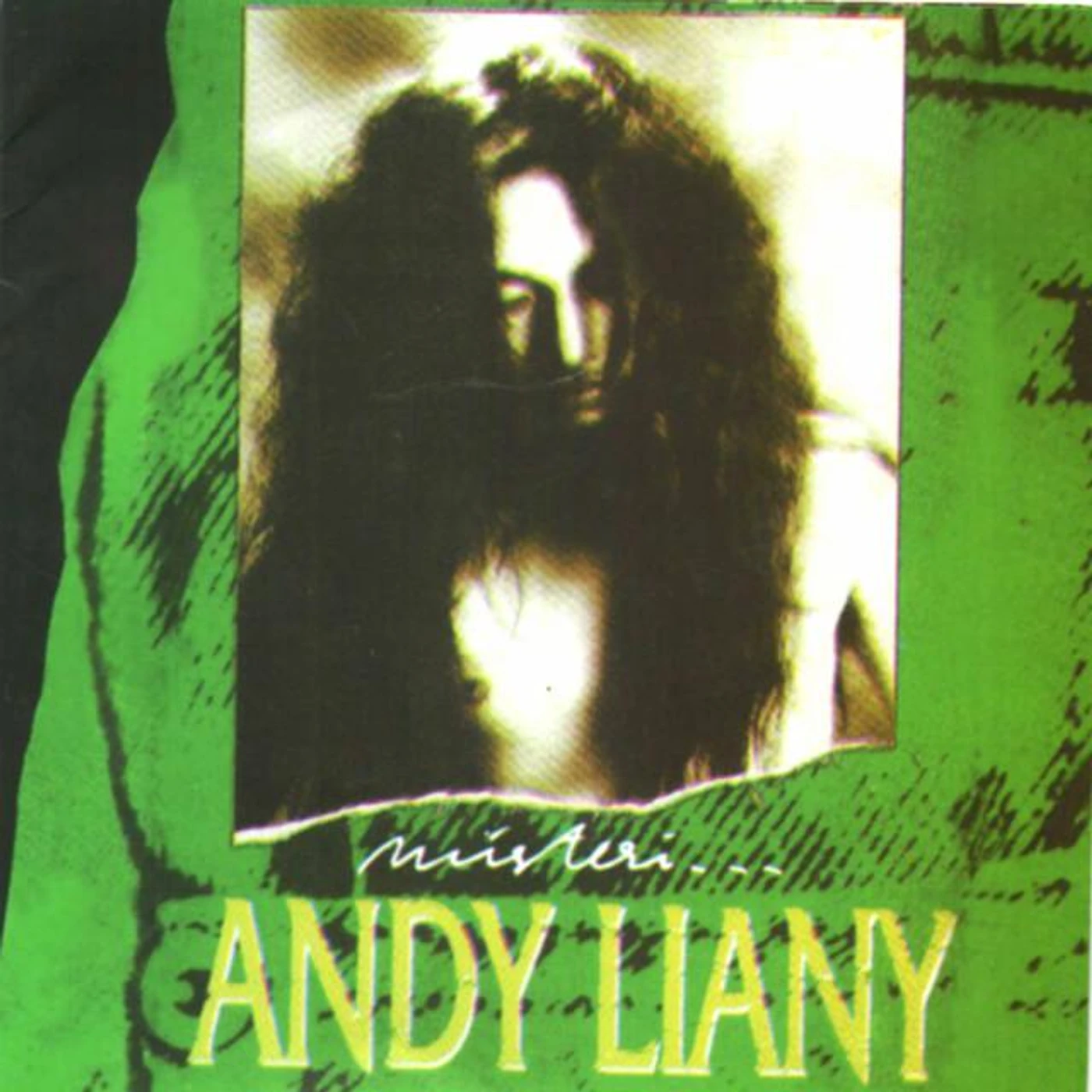 Andy Liany Brand Page