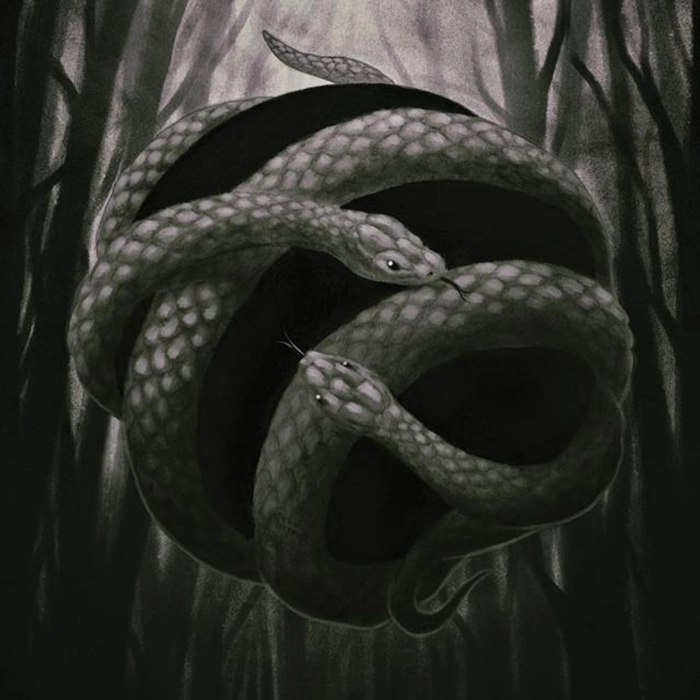 Anima Morte Brand Page