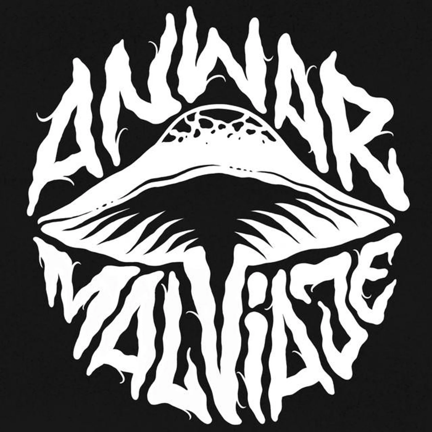 Anwar Malviaje Brand Page