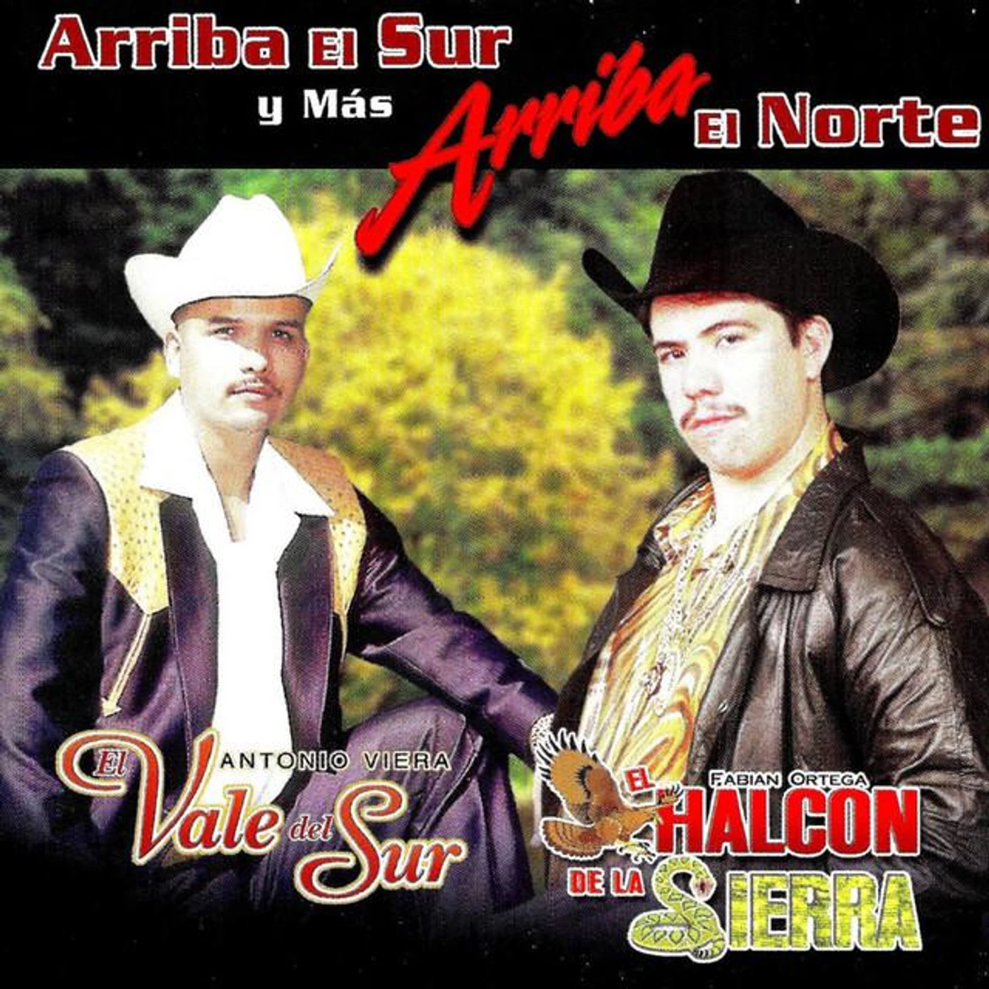 Antonio Viera El Vale Del Sur Brand Page