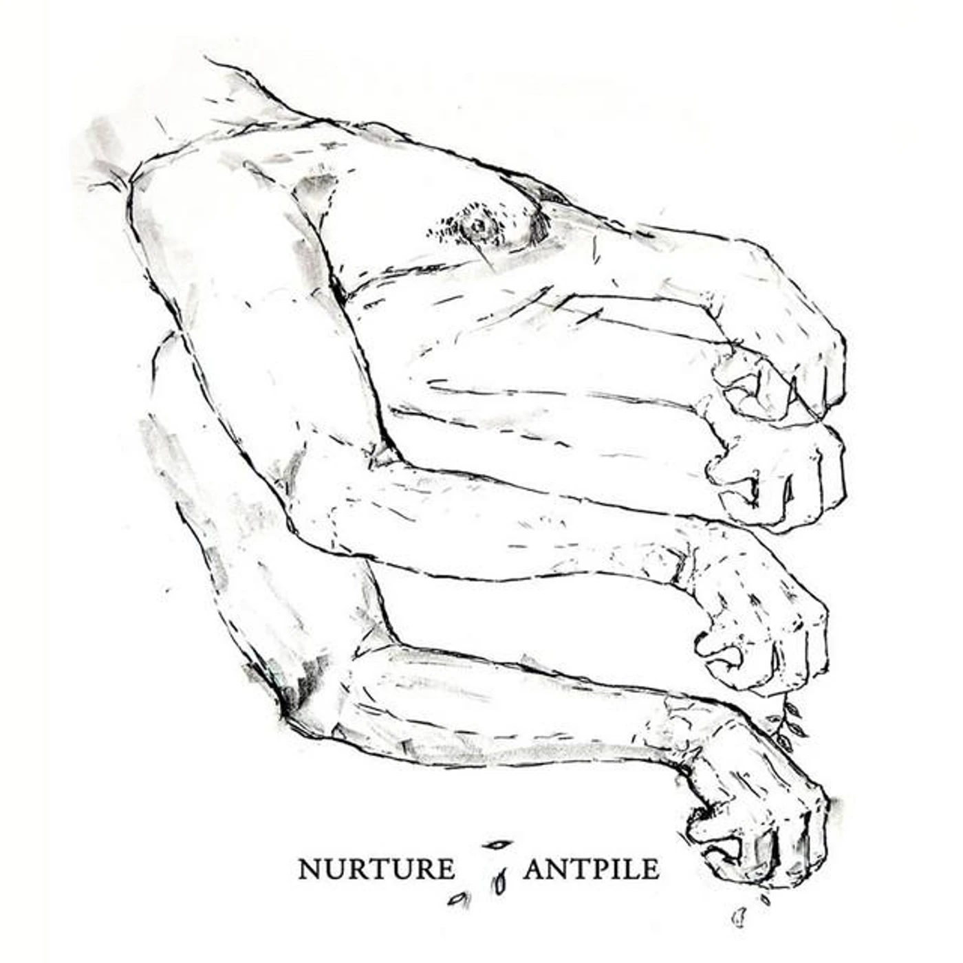 Antpile