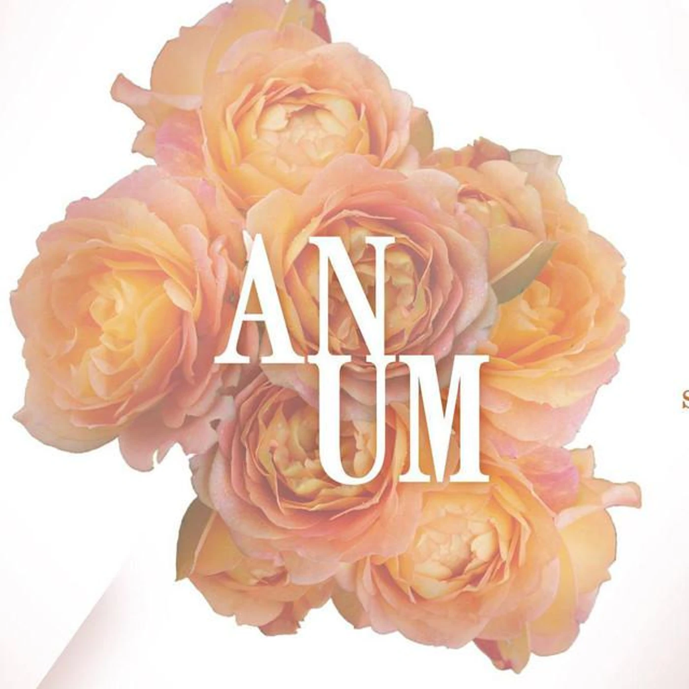Anum