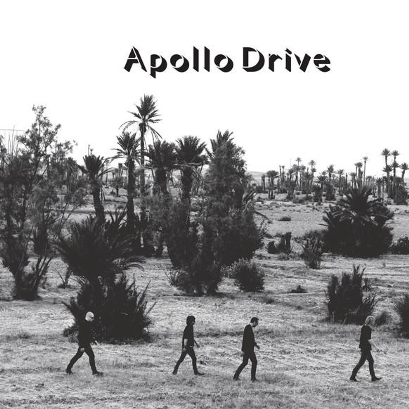 Apollo Drive Brand Page
