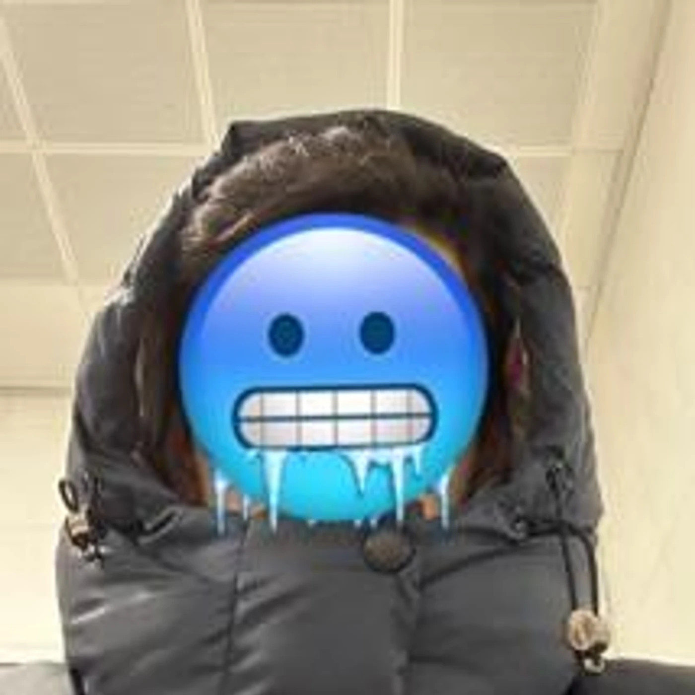 Arda VR.