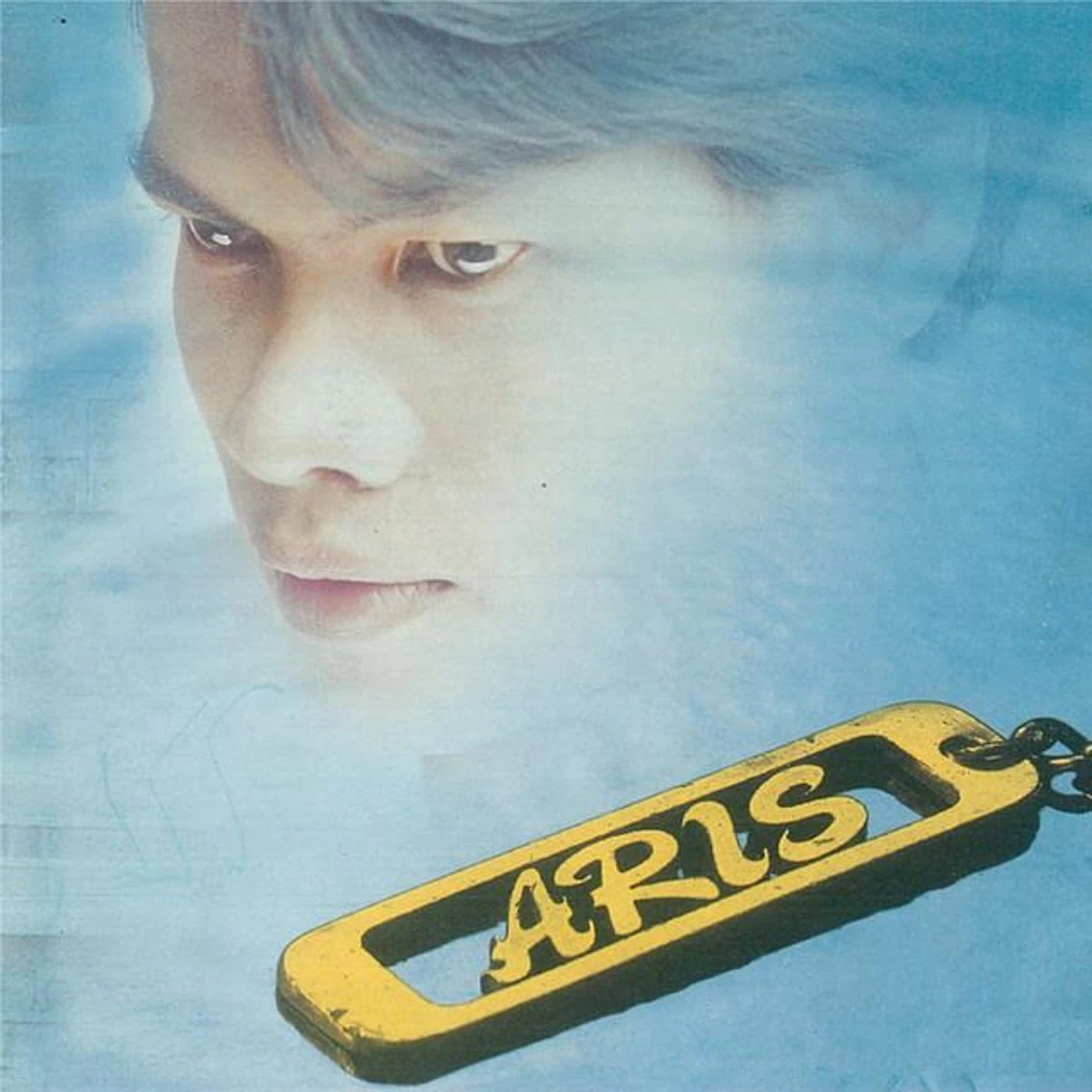 Aris Ariwatan Brand Page