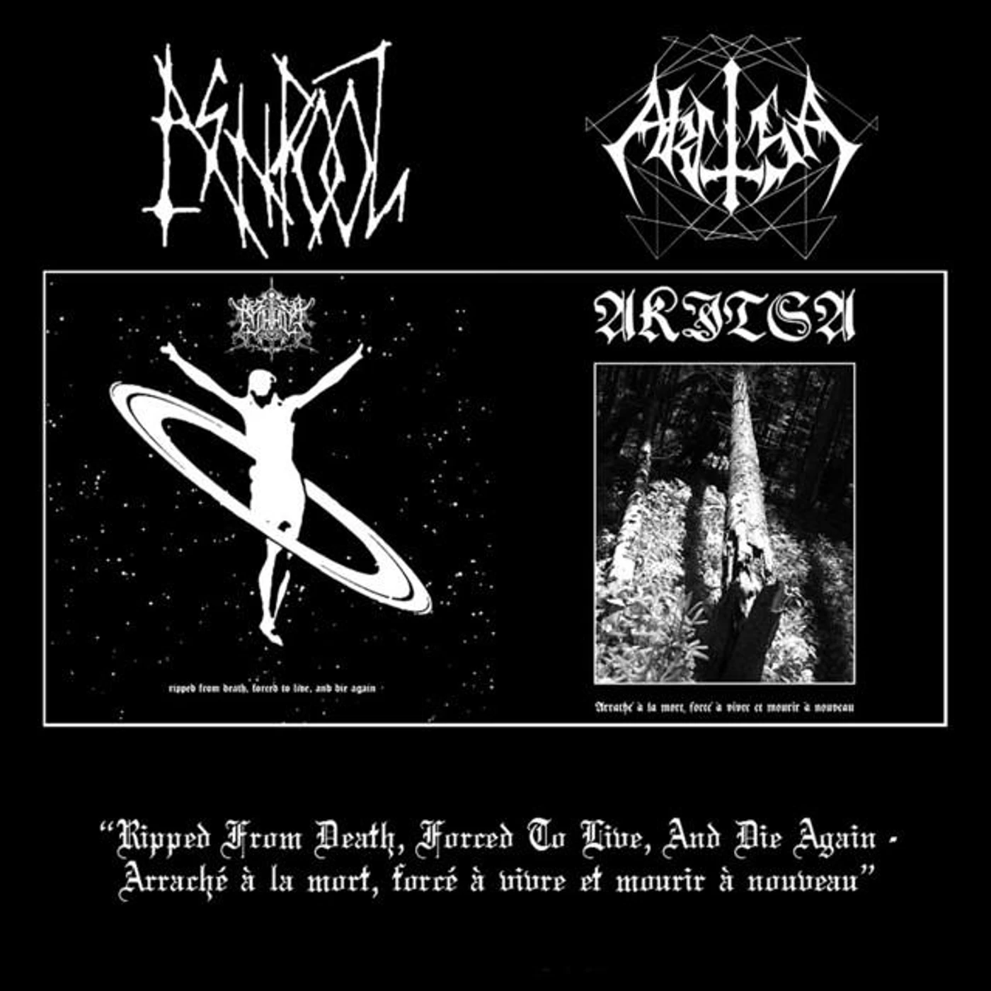 Ash Pool Brand Page