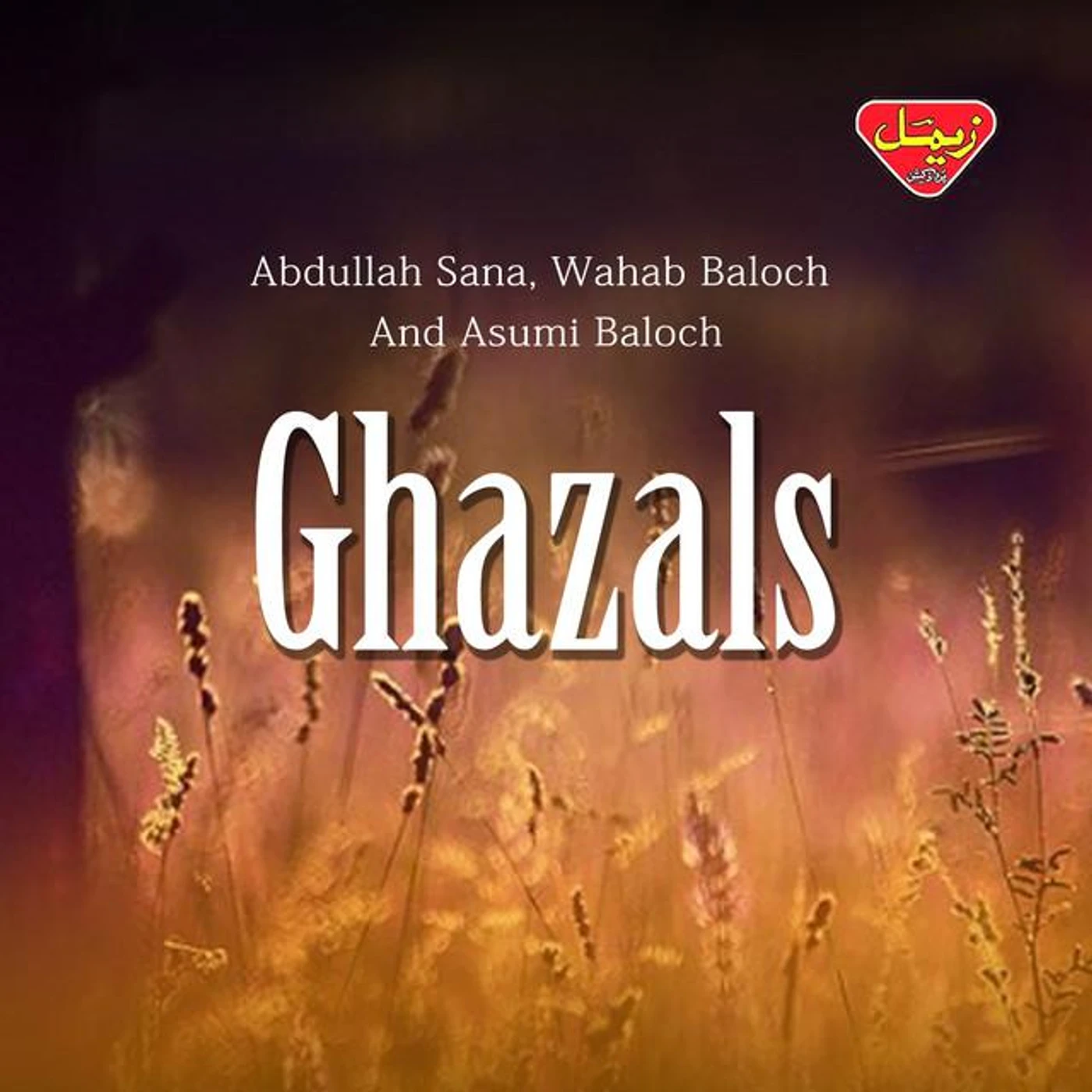 Asumi Baloch Brand Page