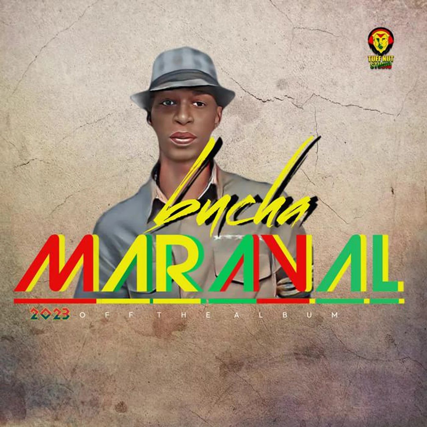 Bucha Brand Page