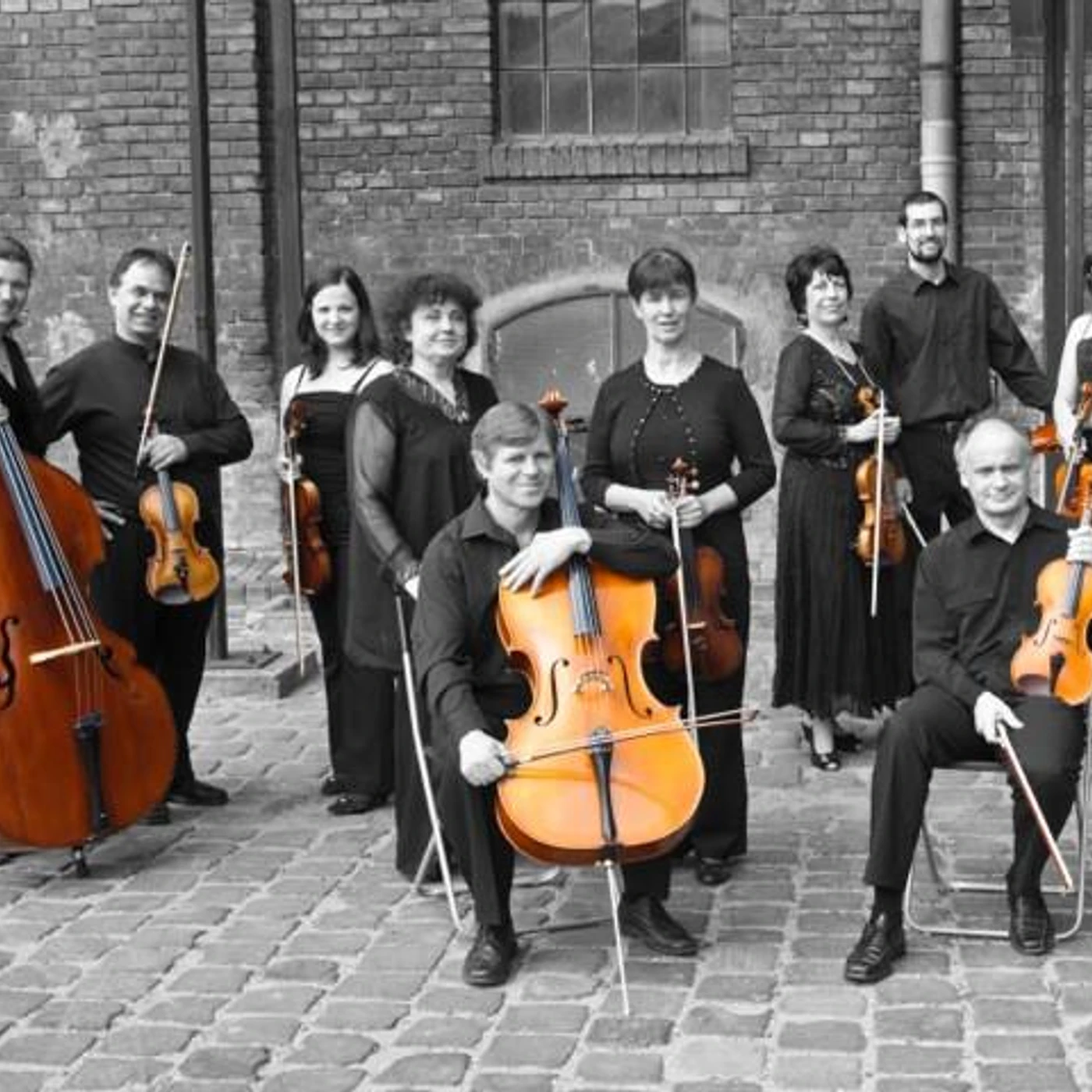 Budapest Strings Brand Page