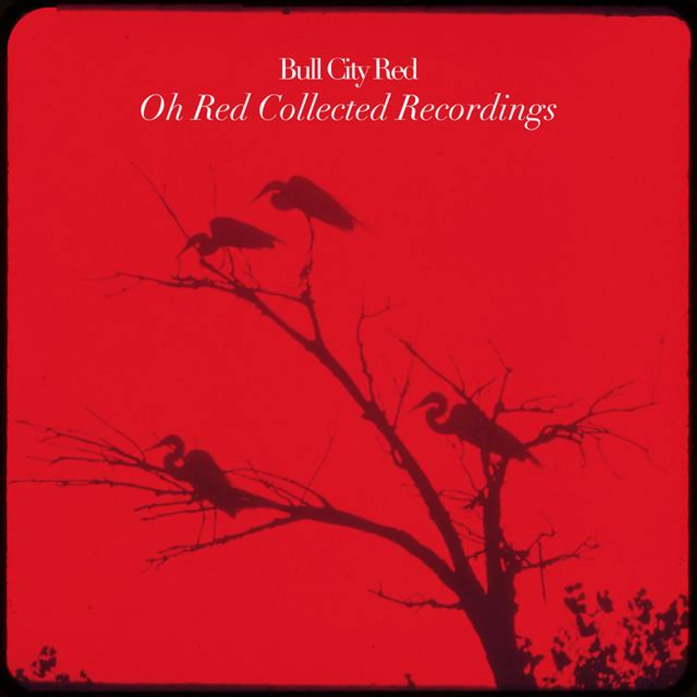 Bull City Red Brand Page