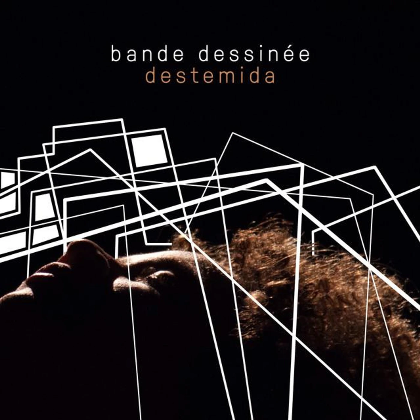 Bande Dessinée Brand Page