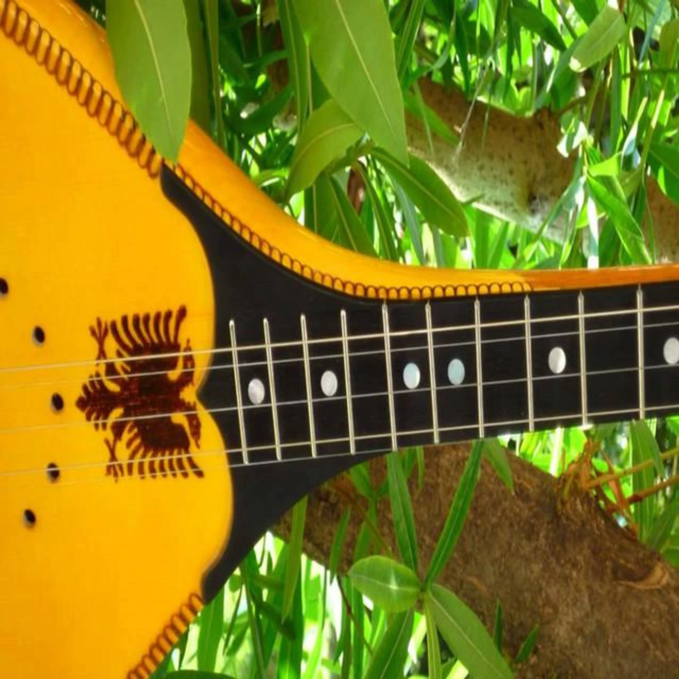 Bardhok Prebibaj Brand Page