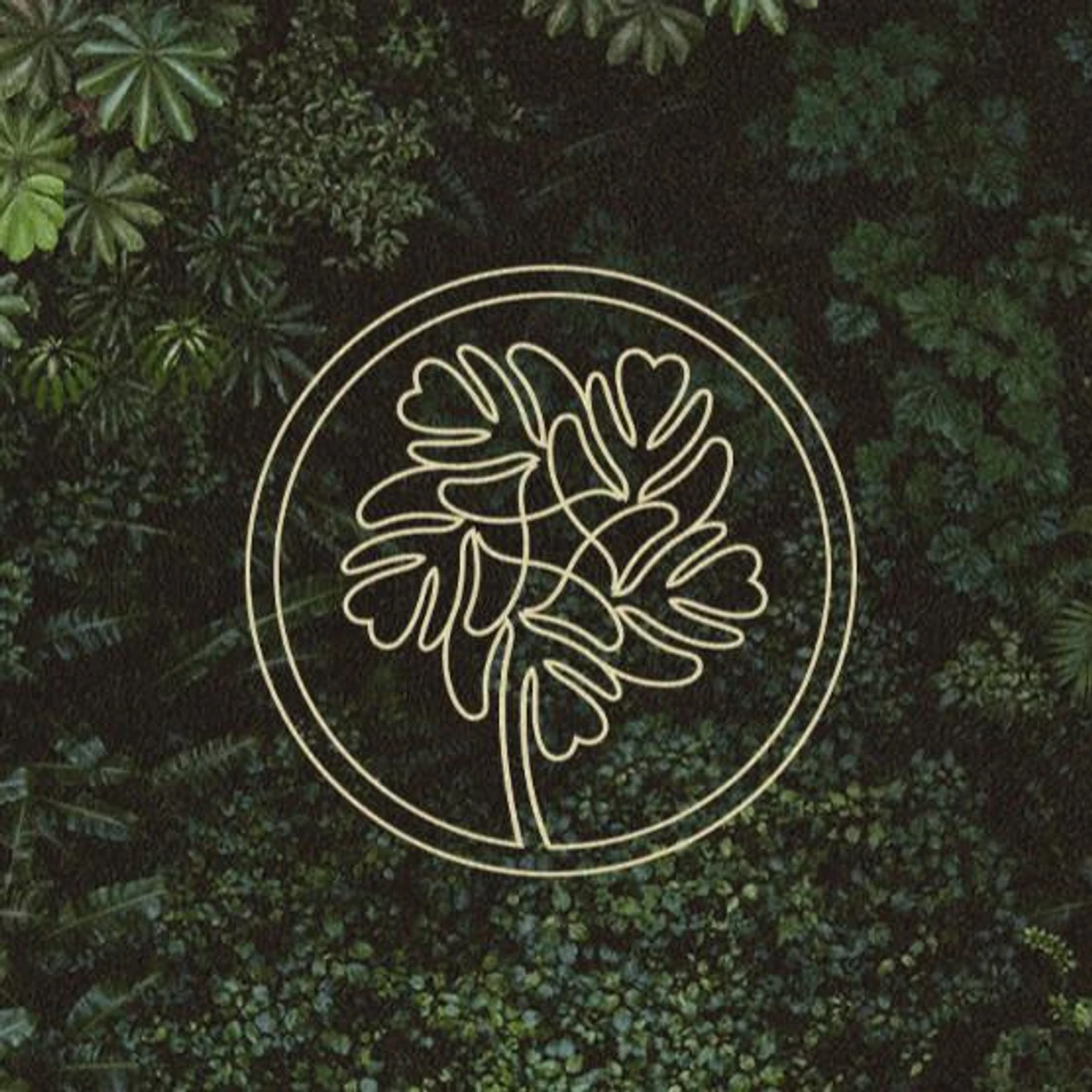 Beats for Trees Brand Page
