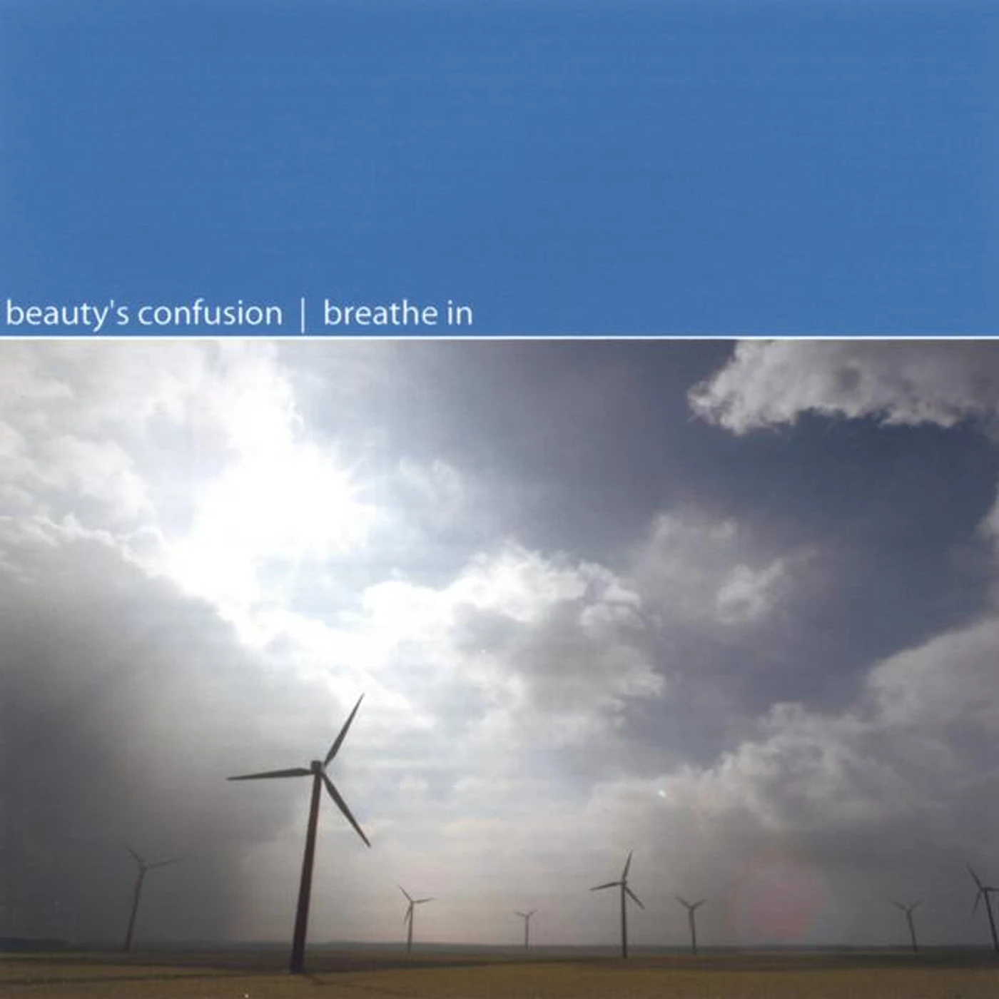 Beauty's Confusion Brand Page