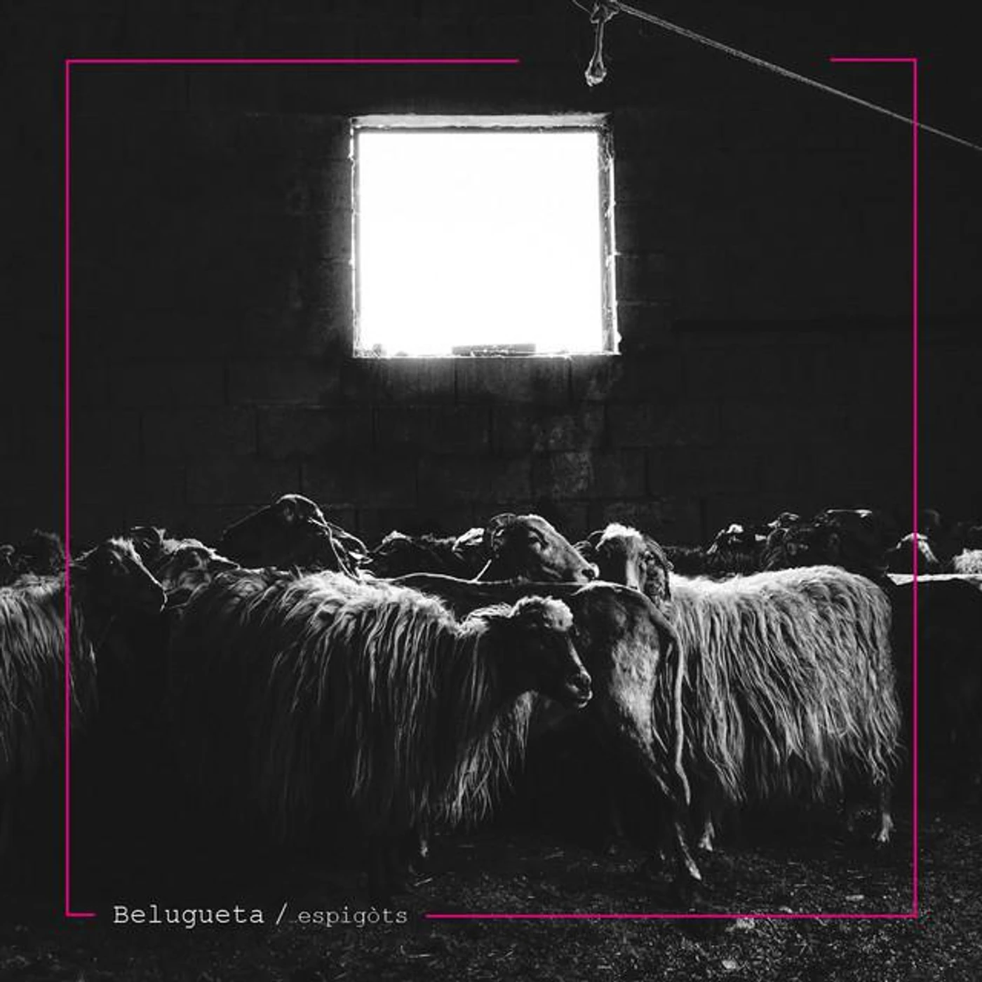 Belugueta Brand Page