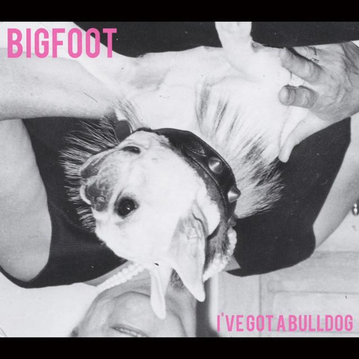 Bigfoot Brand Page
