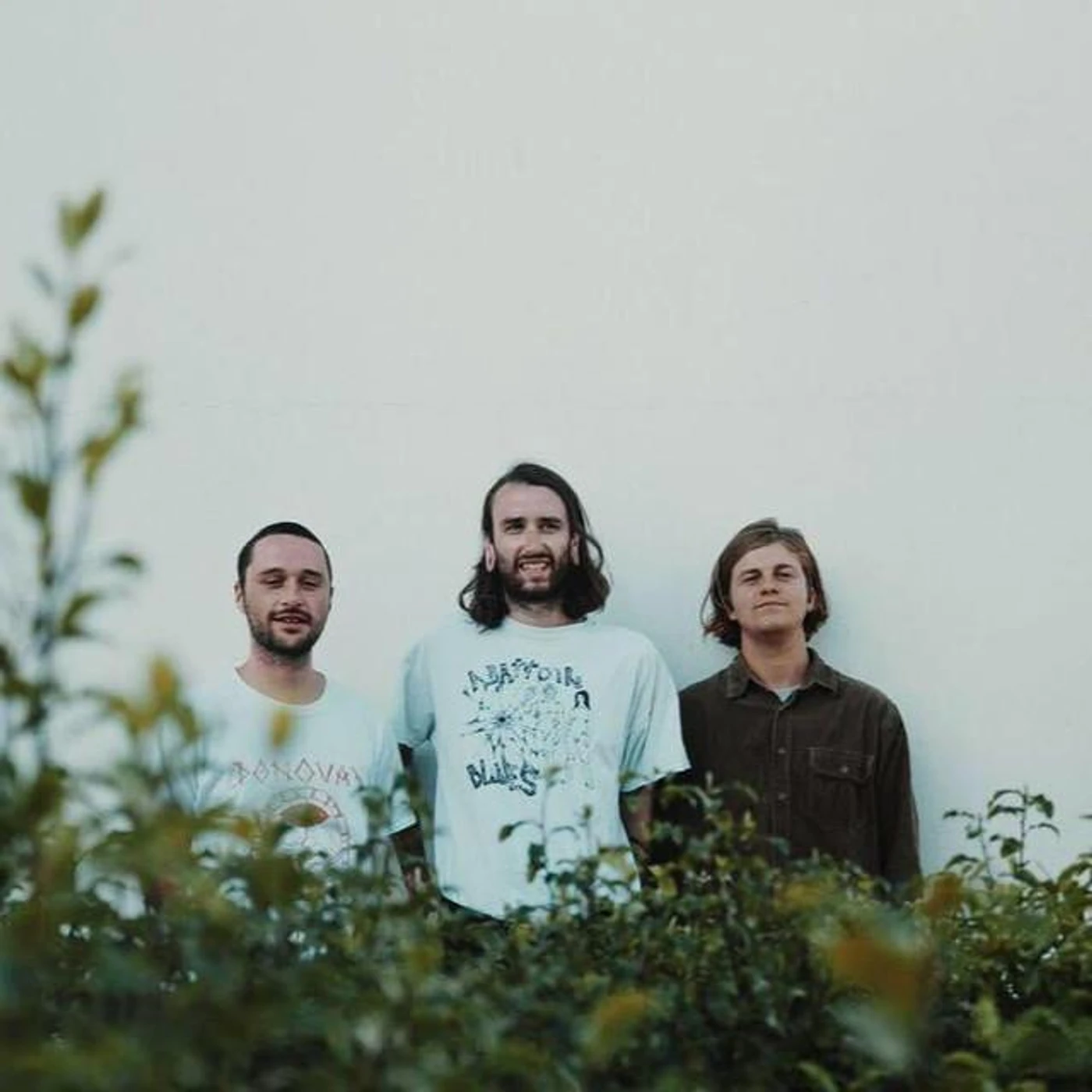 Birdskulls Brand Page