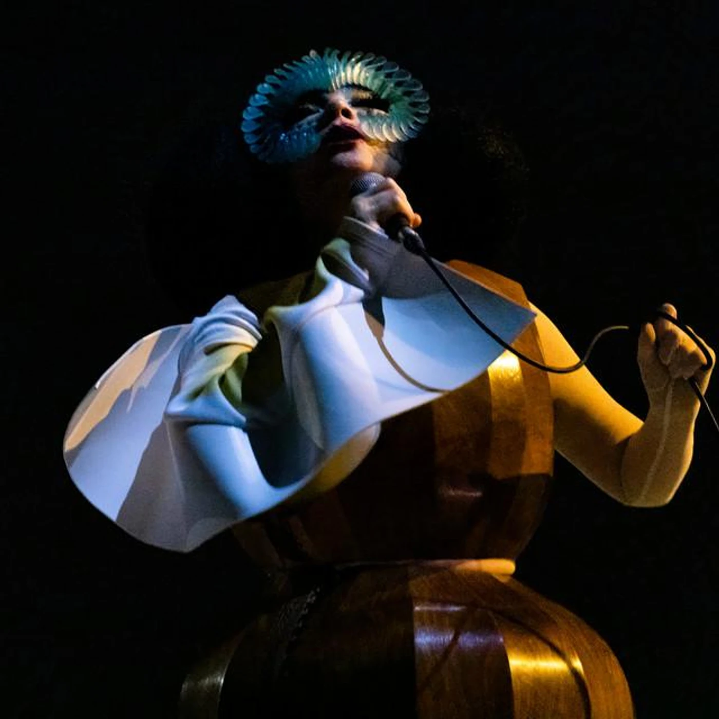 Björk Brand Page