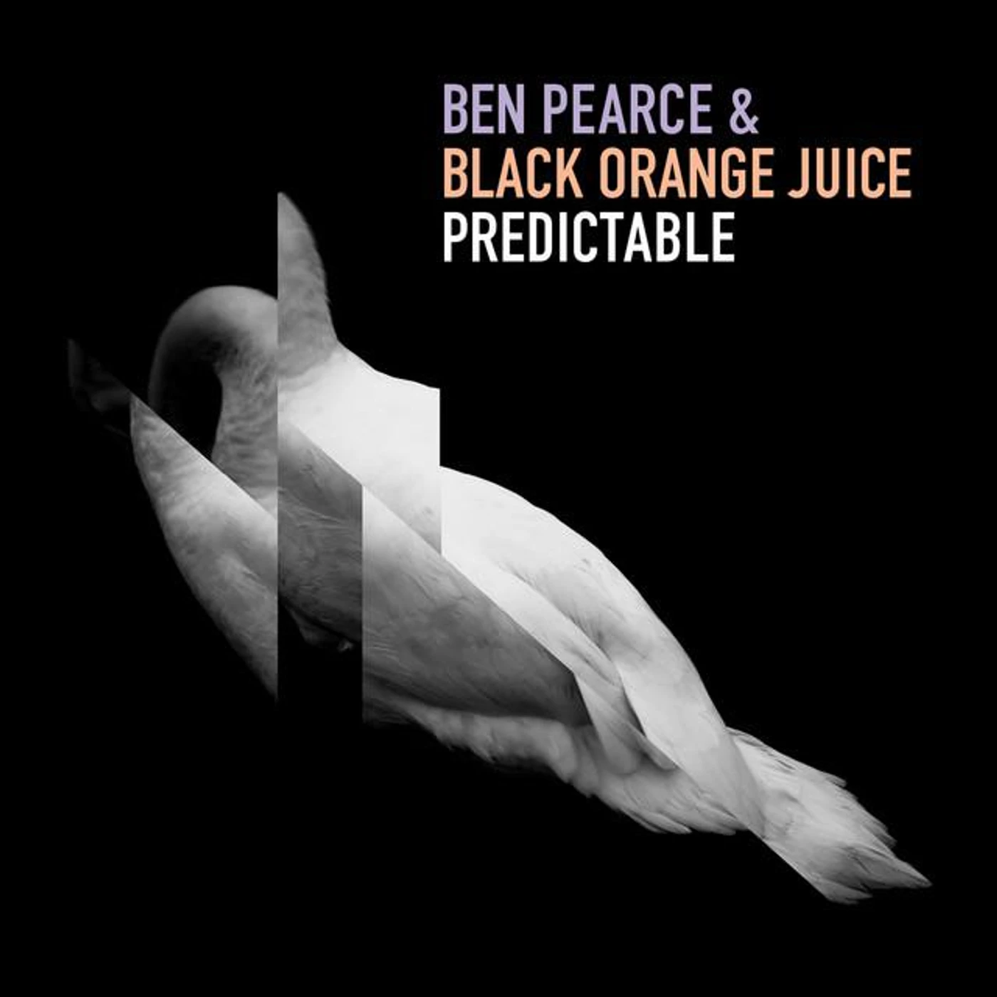 Black Orange Juice Brand Page