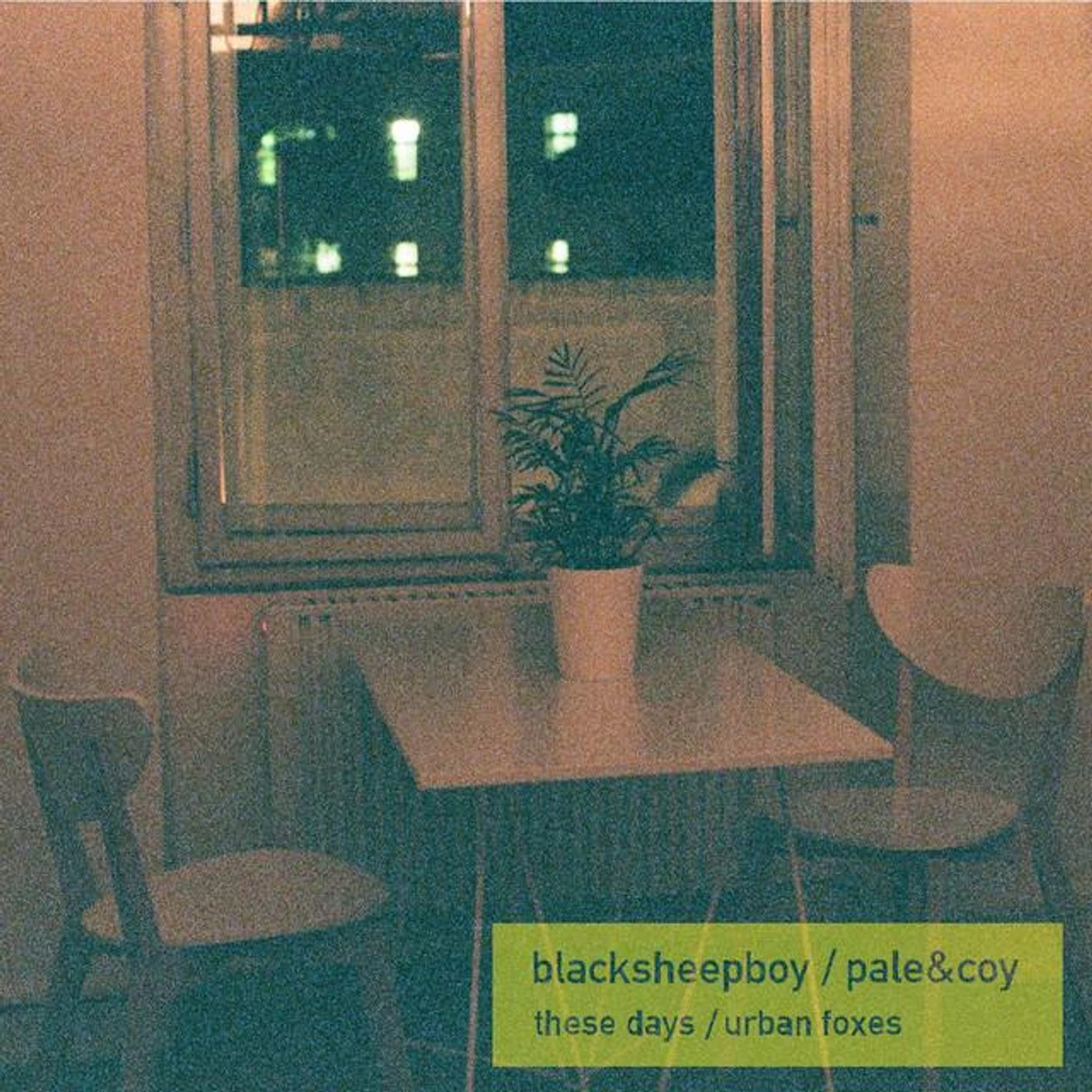 Blacksheepboy