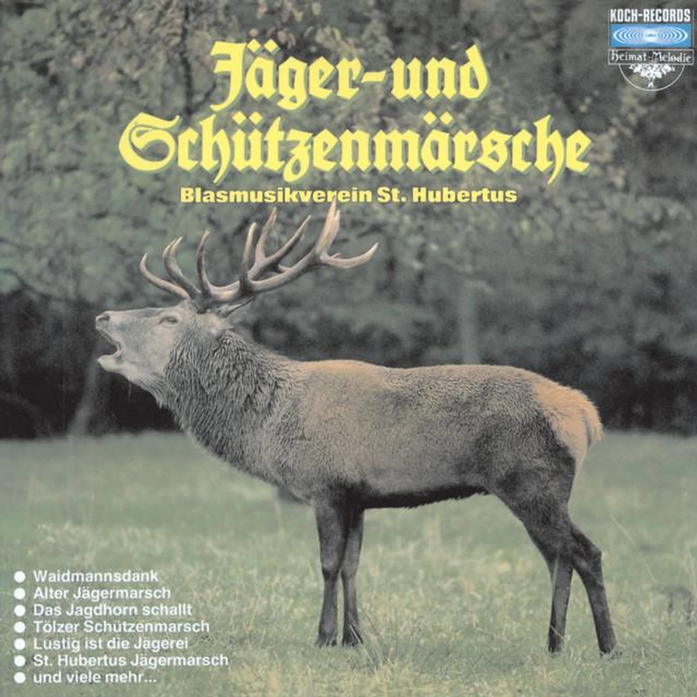 Blasmusikverein St. Hubertus Brand Page