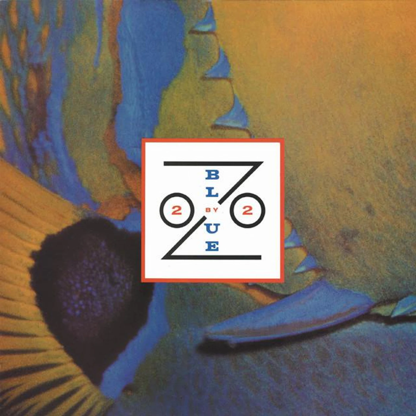 Blue Zoo Brand Page