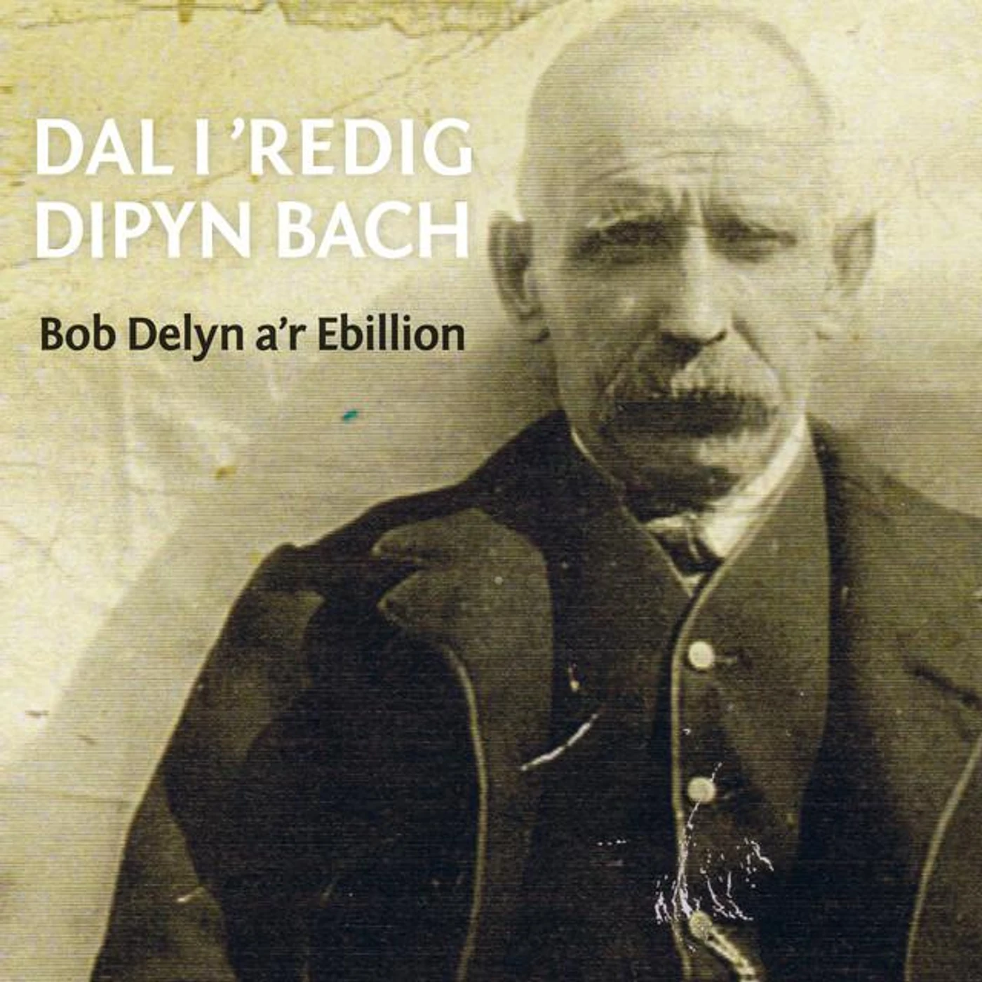 Bob Delyn A'R Ebillion Brand Page
