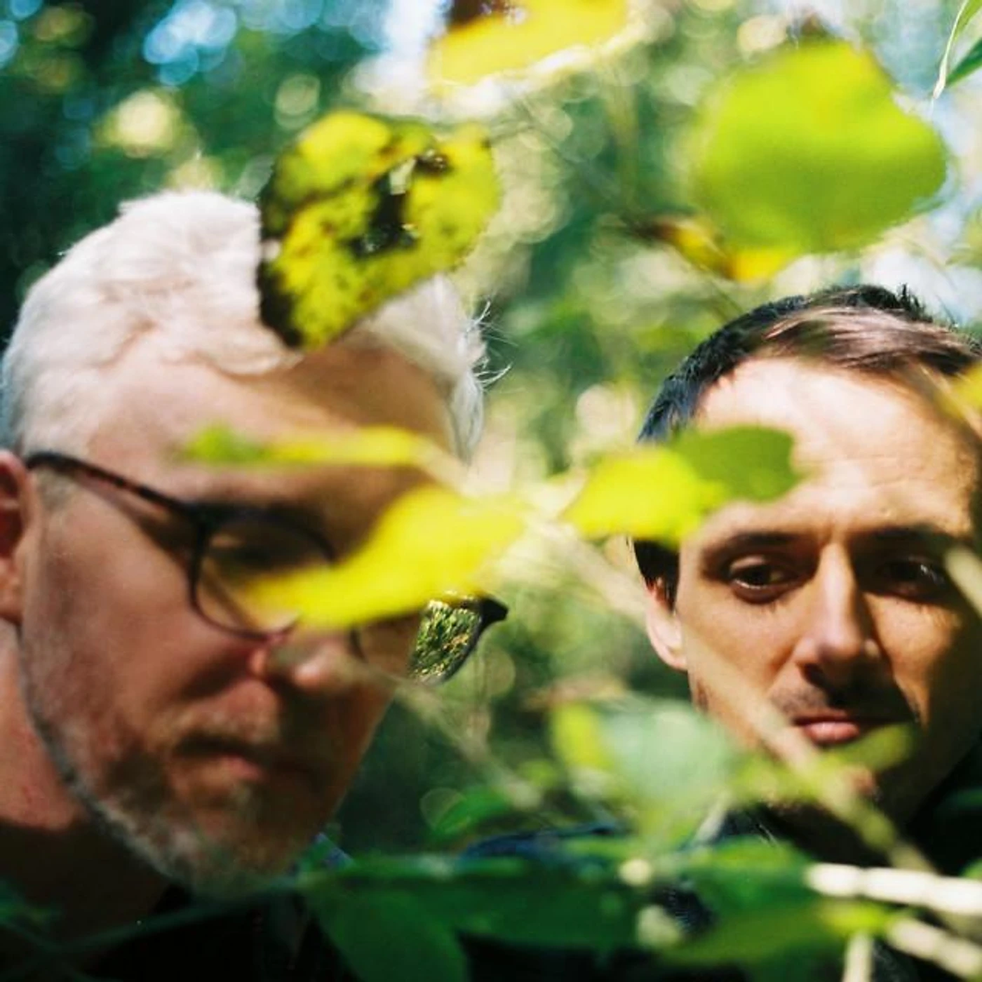 Bombadil Brand Page