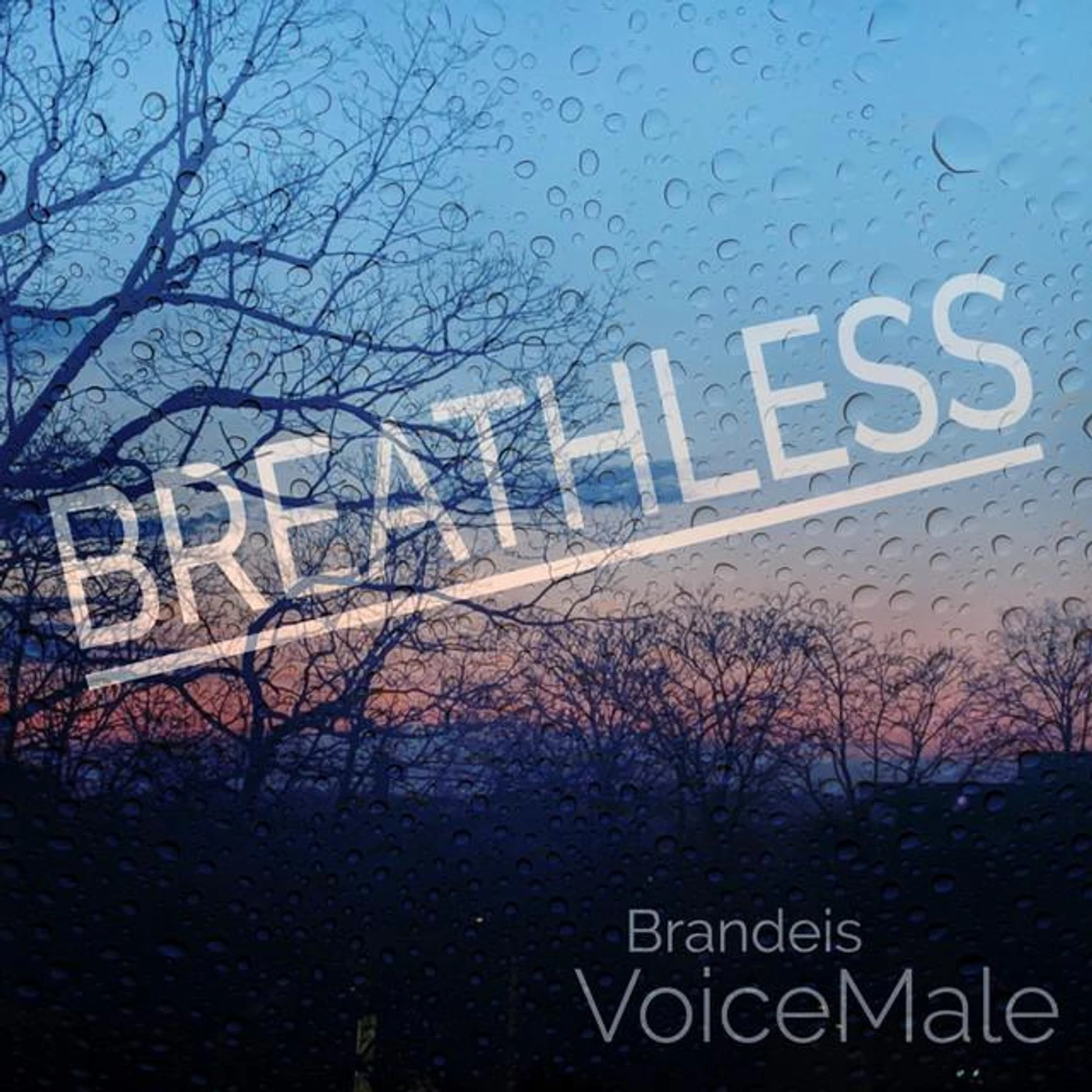 Brandeis VoiceMale Brand Page