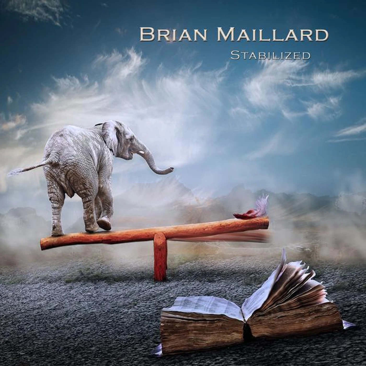Brian Maillard Brand Page