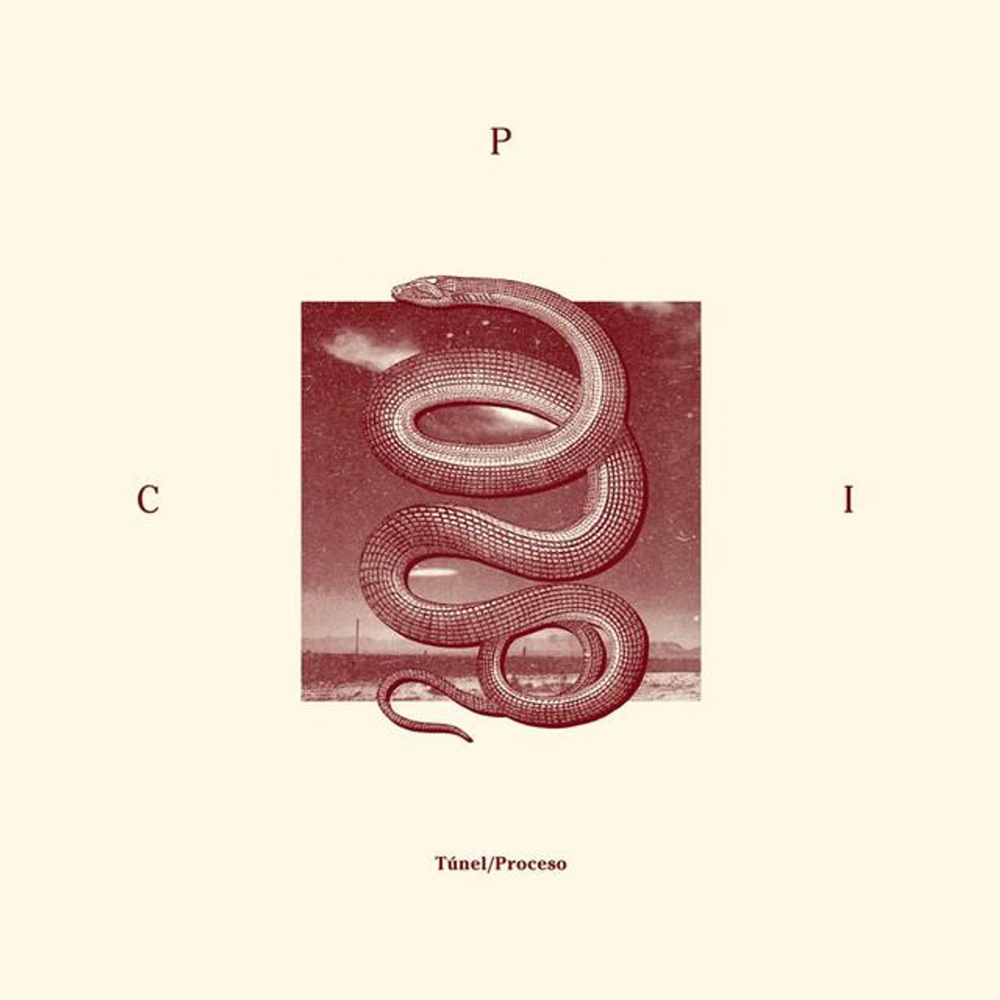 C.P.I. Brand Page
