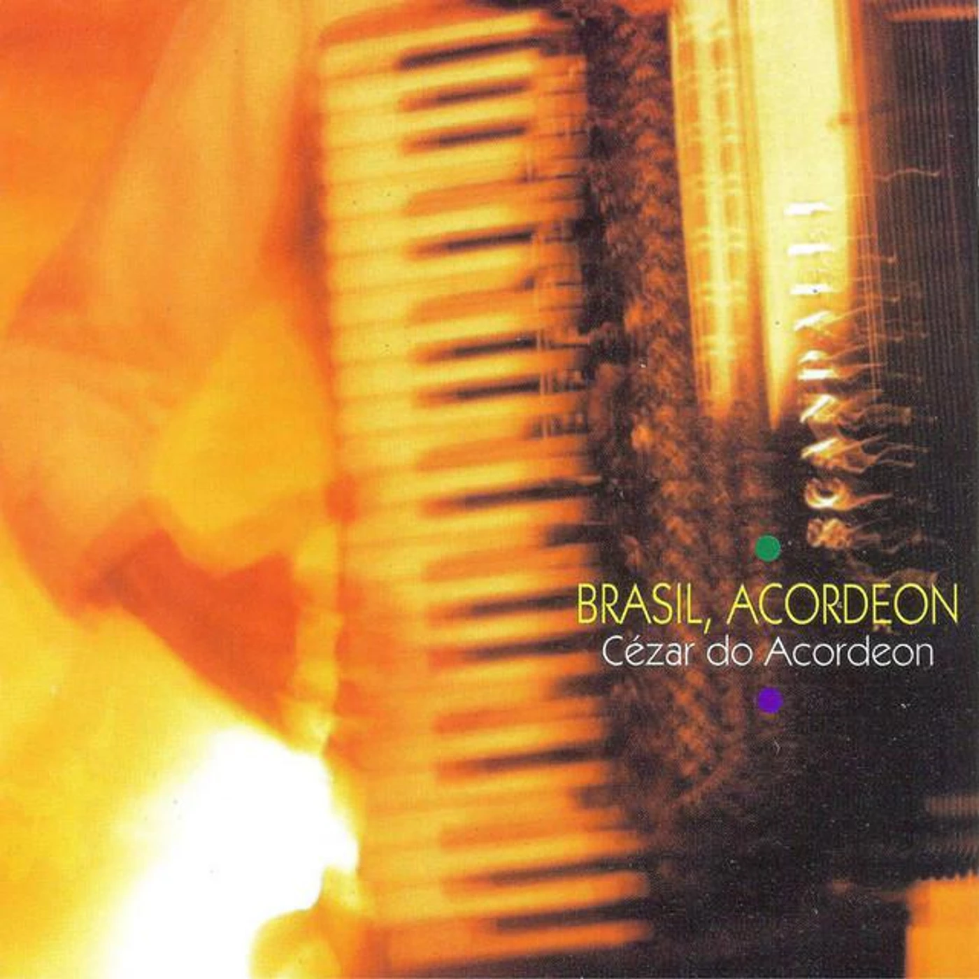 Cézar do Acordeon