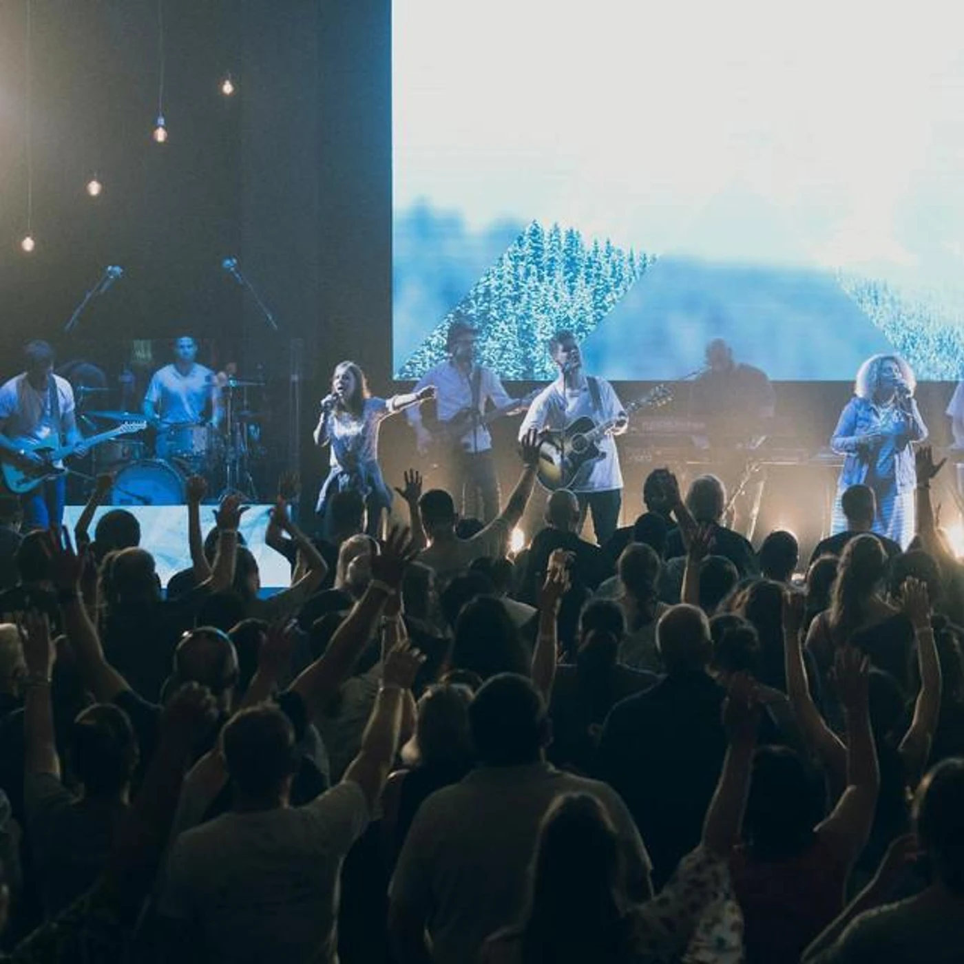 C3 Auckland Brand Page