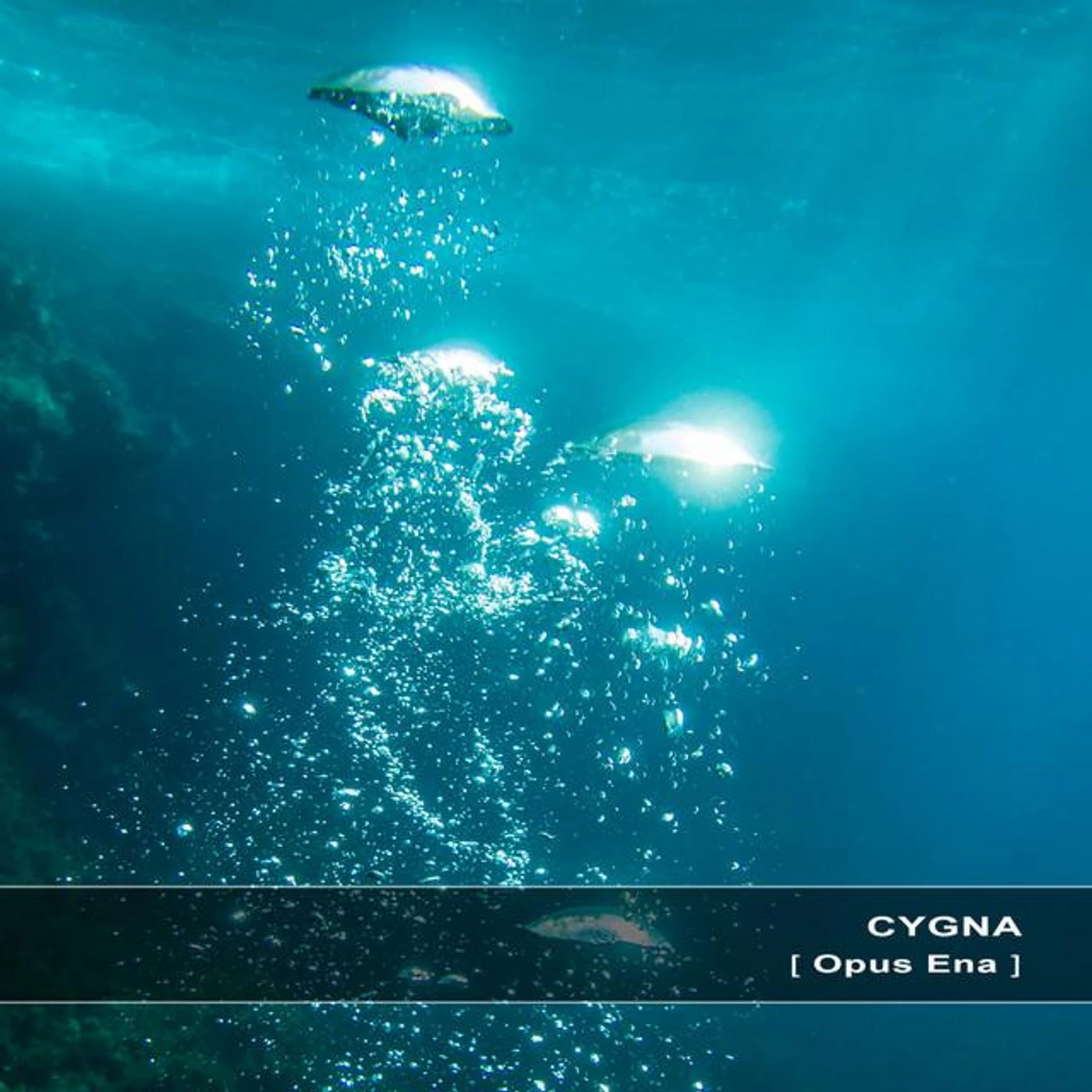 Cygna Brand Page
