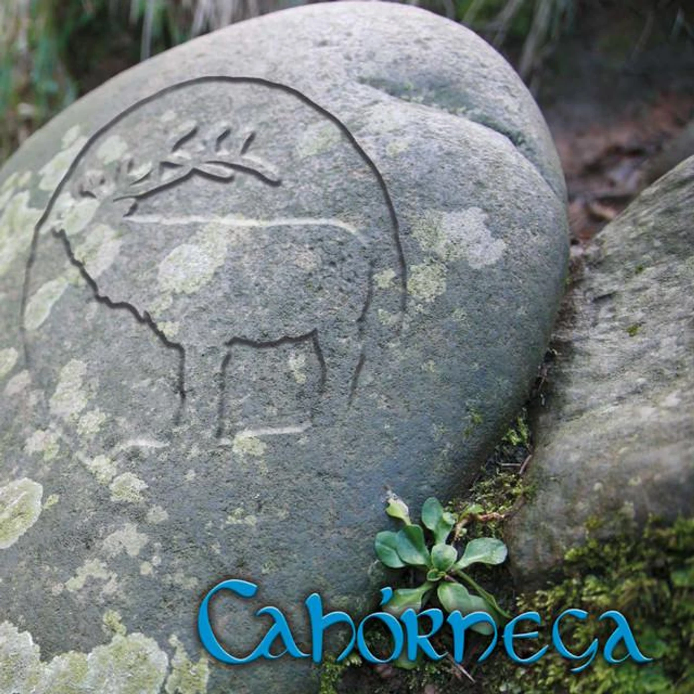 Cahórnega Brand Page