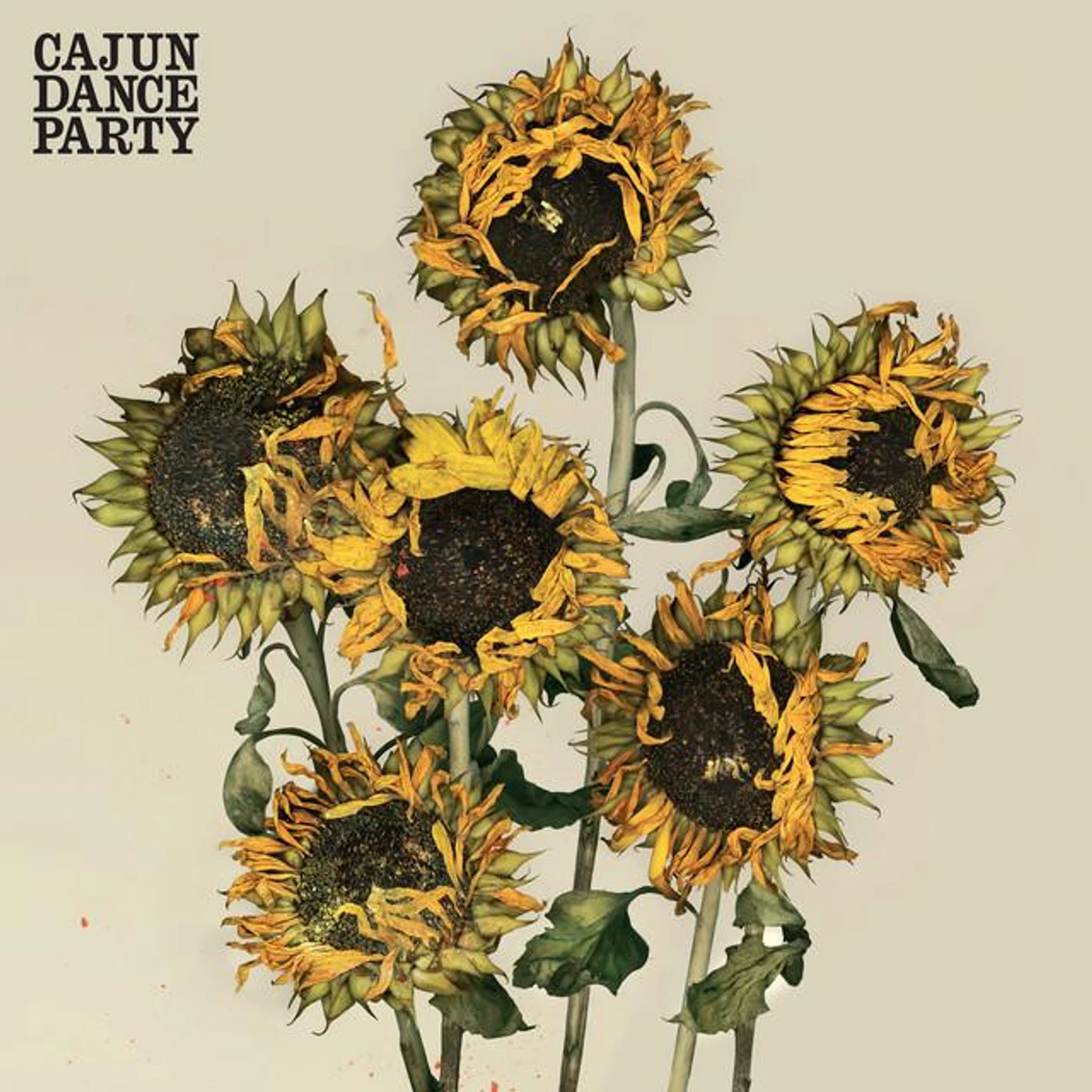 Cajun Dance Party Brand Page