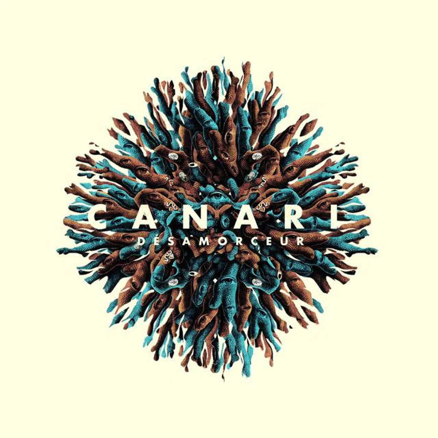 Canari Brand Page