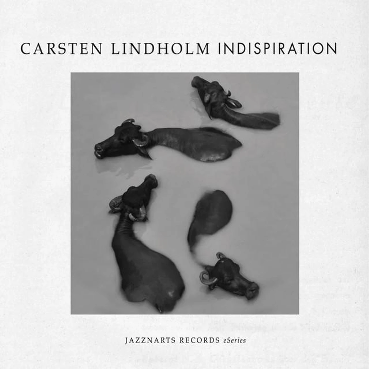 Carsten Lindholm Brand Page