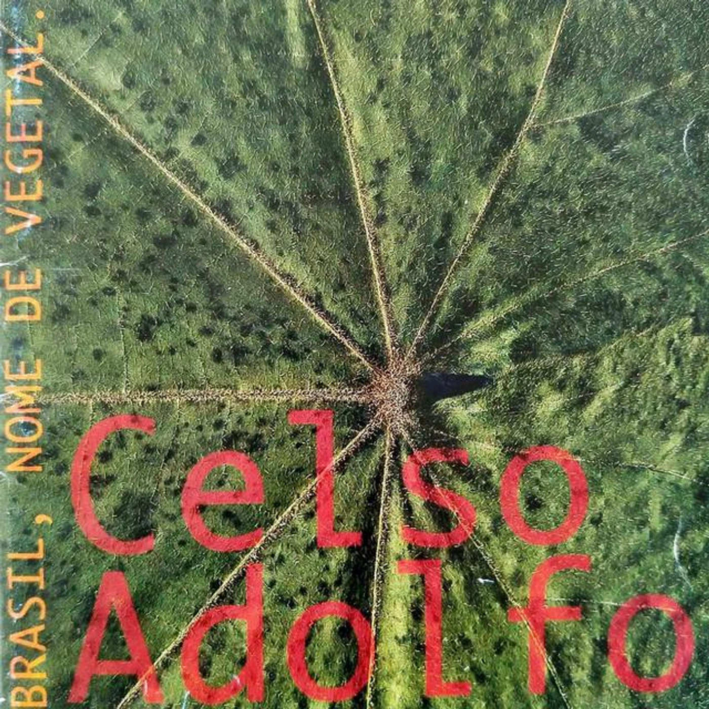 Celso Adolfo Brand Page