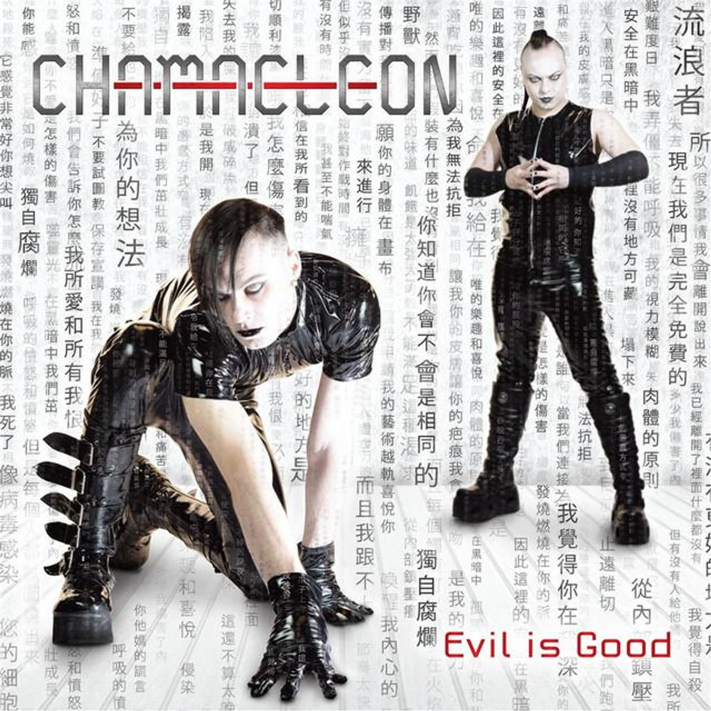 Chamaeleon Brand Page