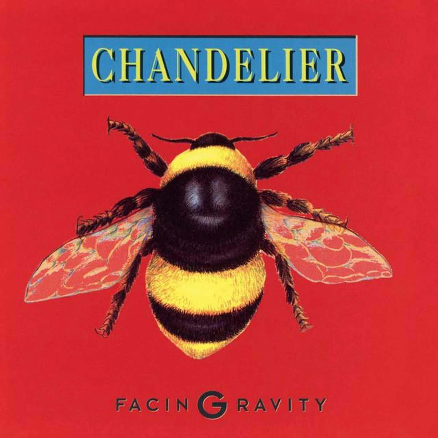 Chandelier Brand Page