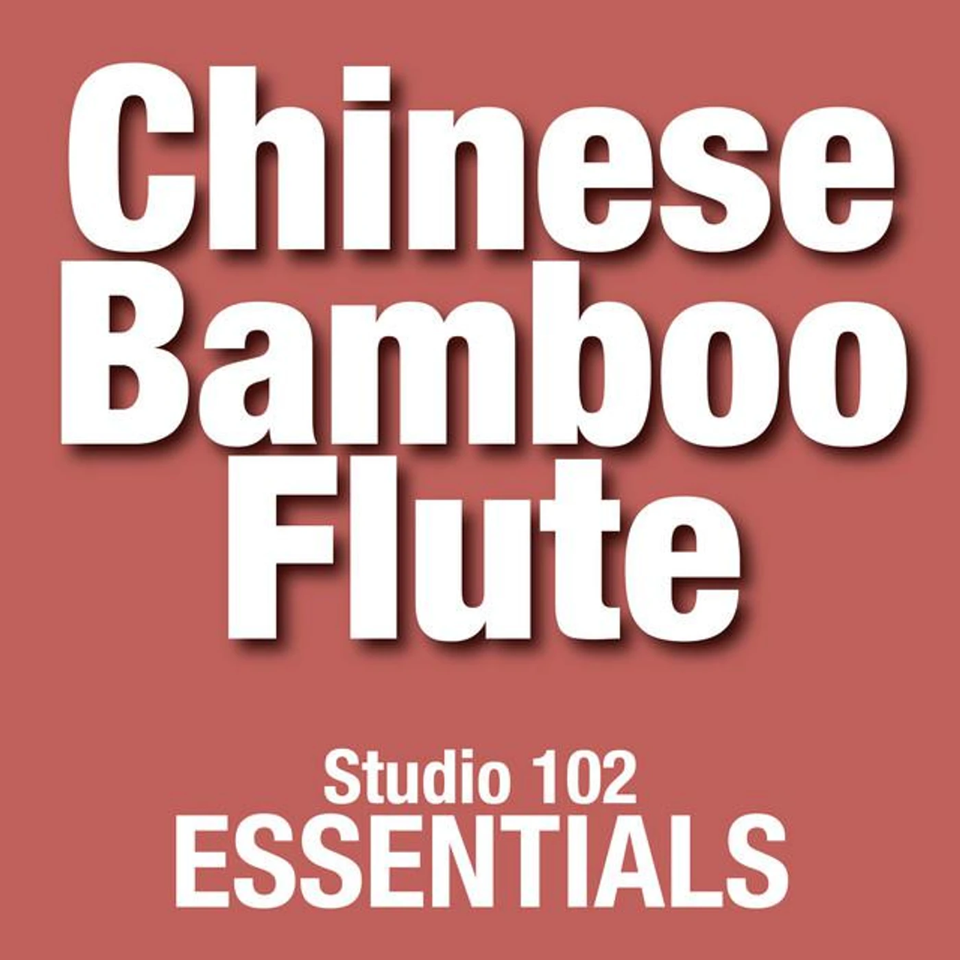 Chinese Bamboo Flute Orchestra Brand Page