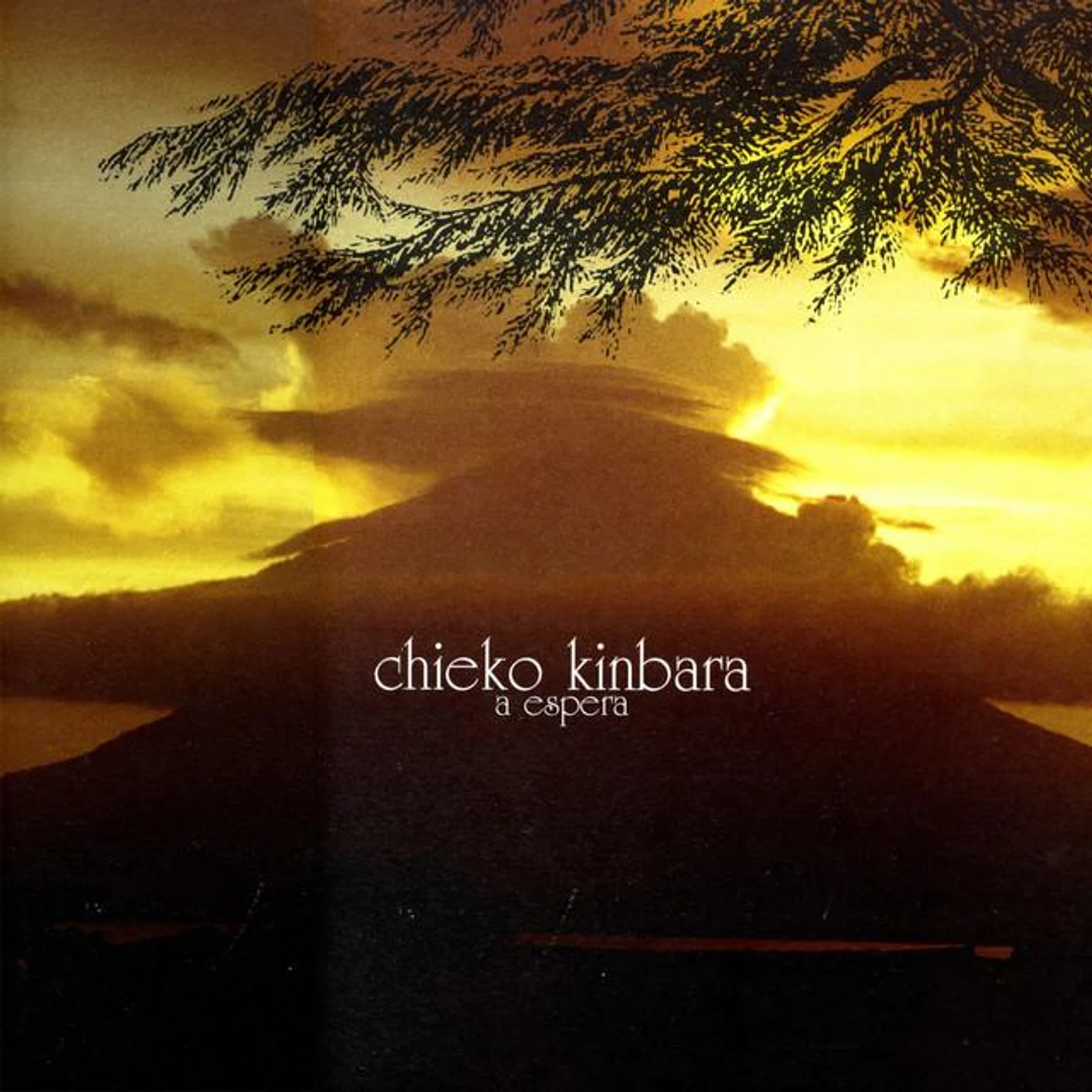 Chieko Kinbara Brand Page