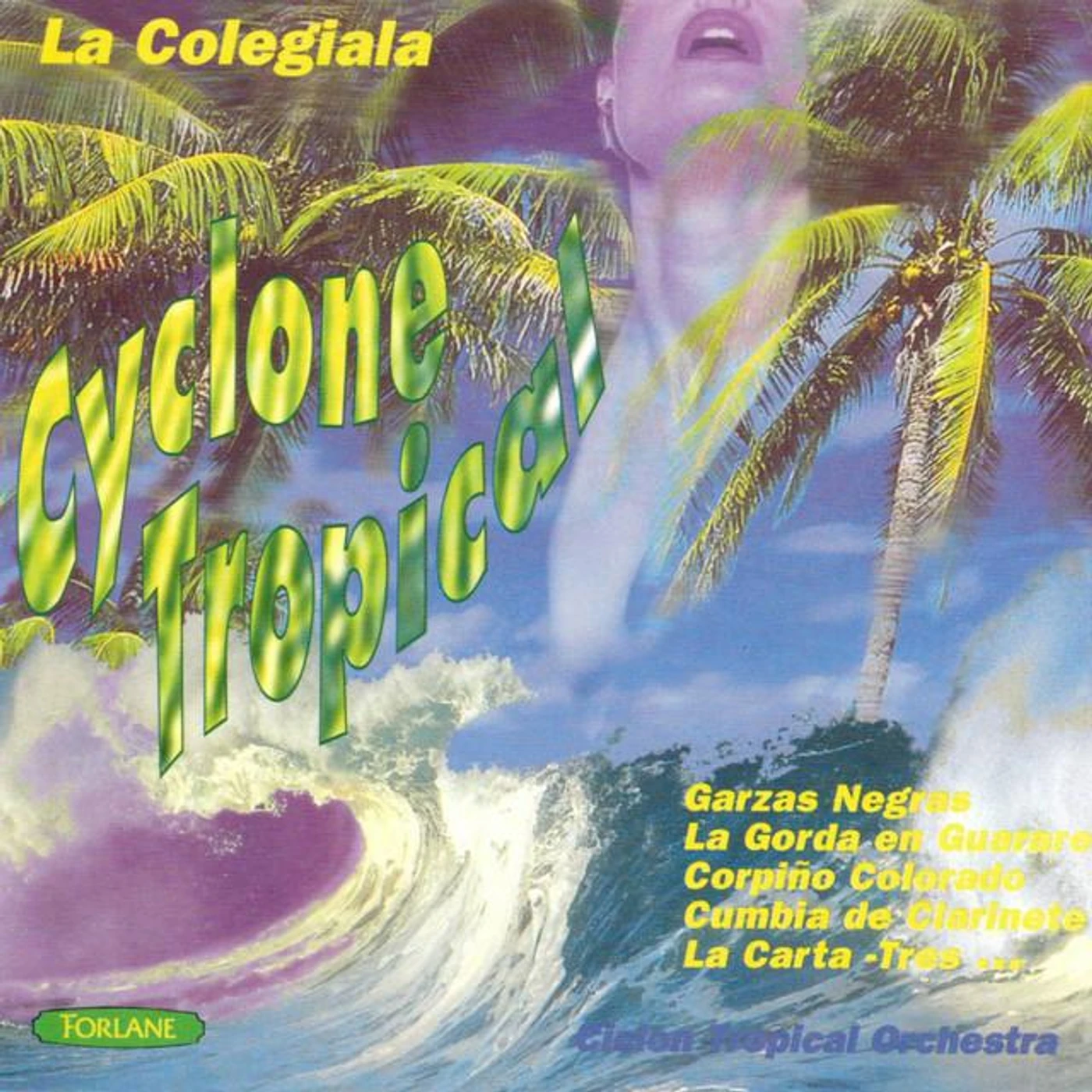 Ciclon Tropical Orchestra Brand Page